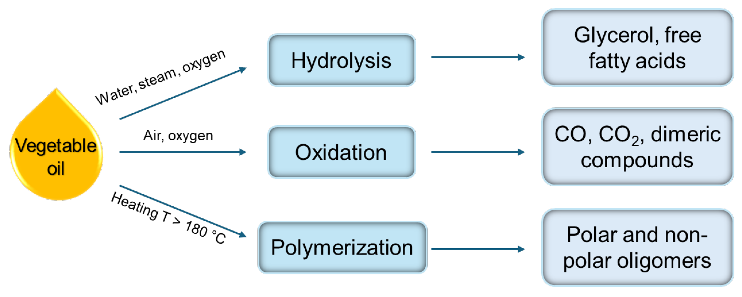 Polymers 17 00368 g003