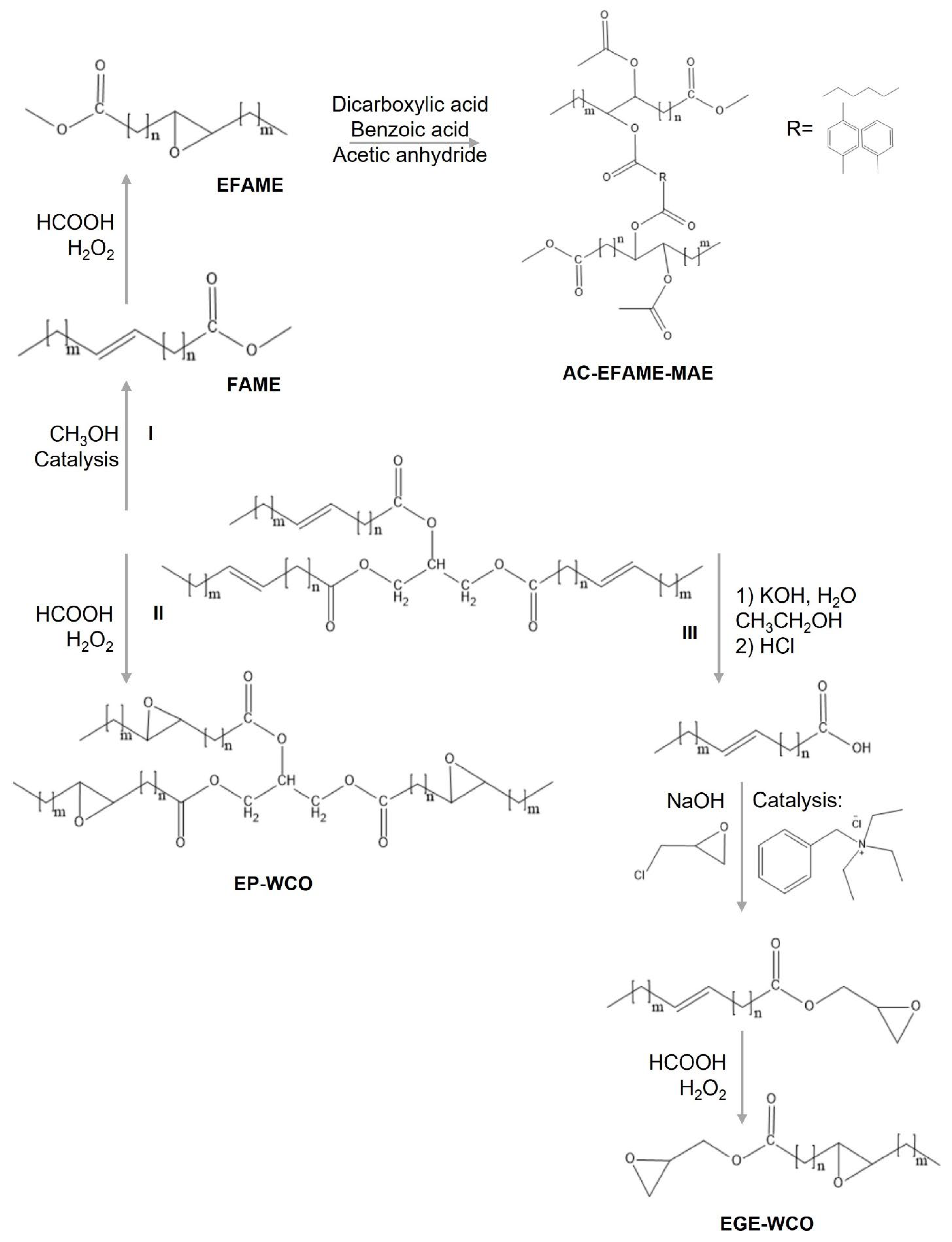 Polymers 17 00368 g005