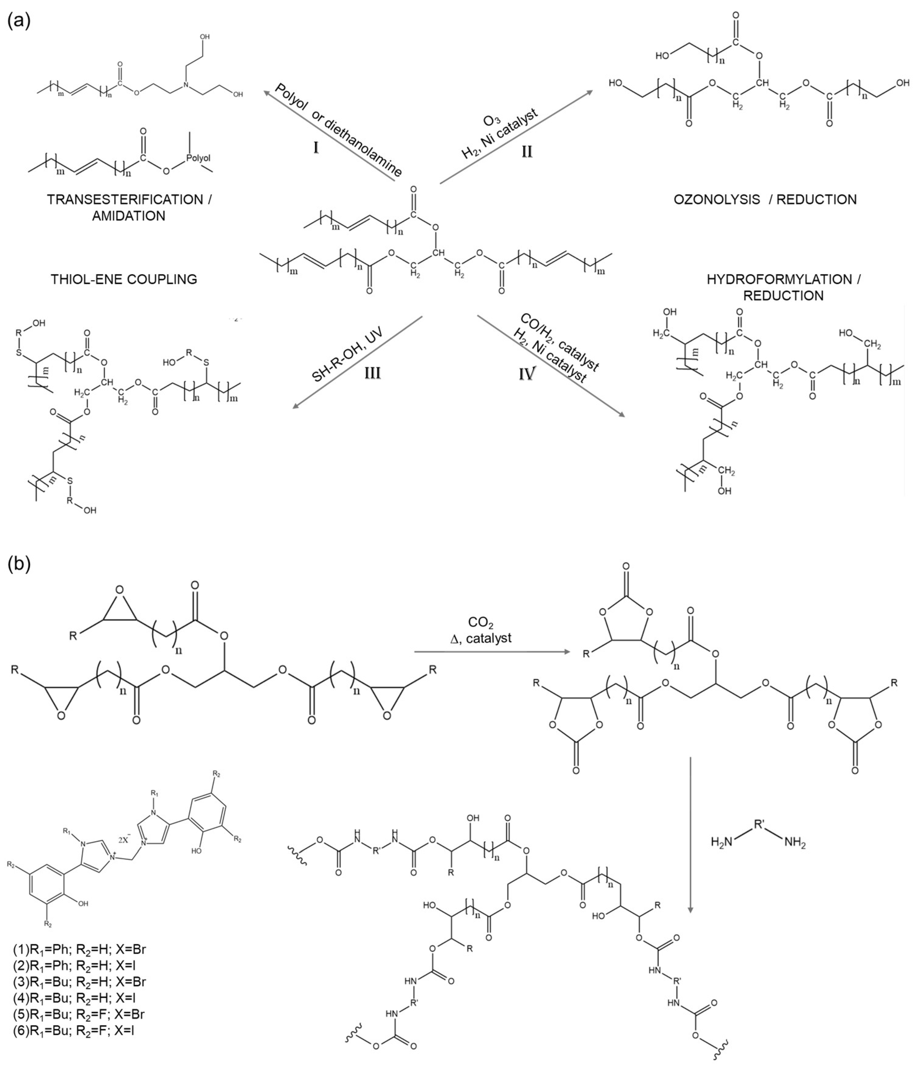 Polymers 17 00368 g006