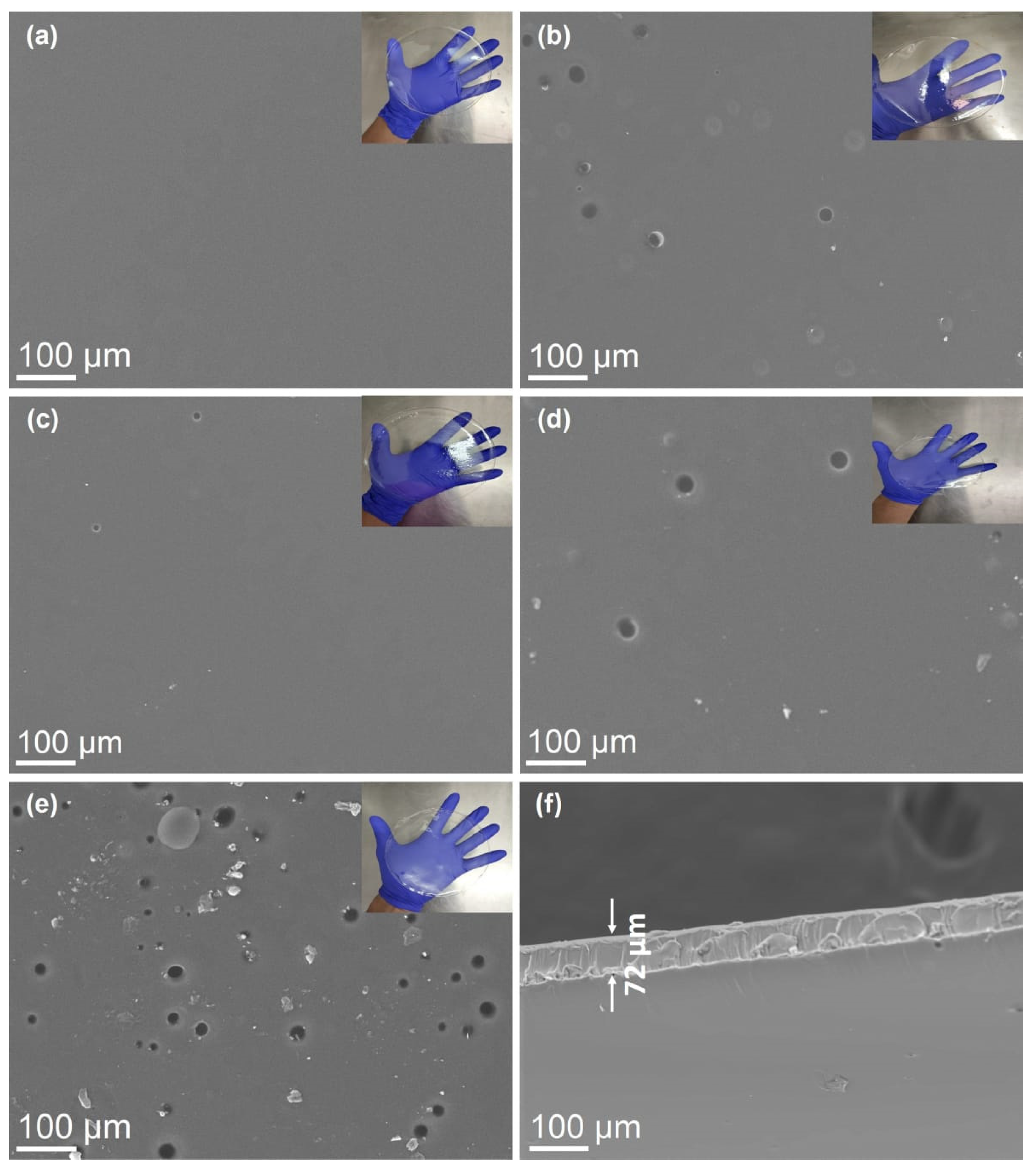 Polymers 17 00375 g002