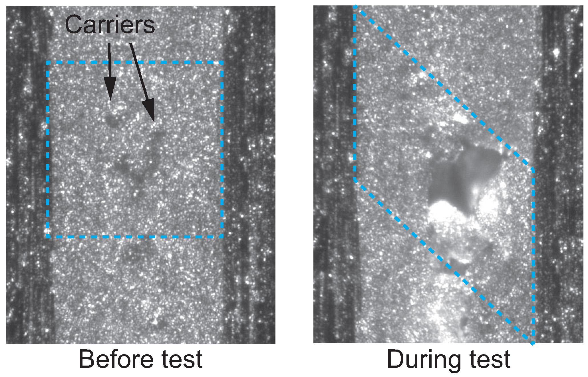 Polymers 17 00377 g004