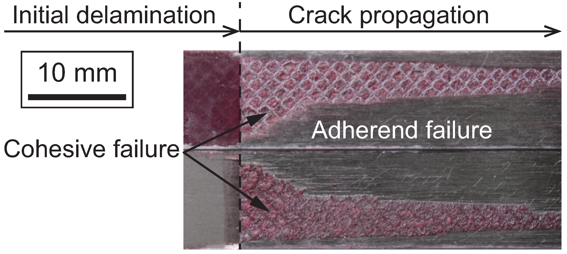 Polymers 17 00377 g007