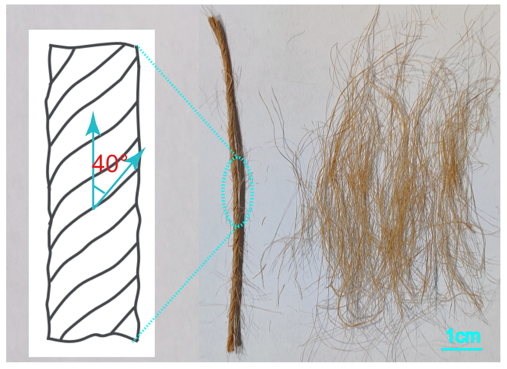 Polymers 17 00388 g001