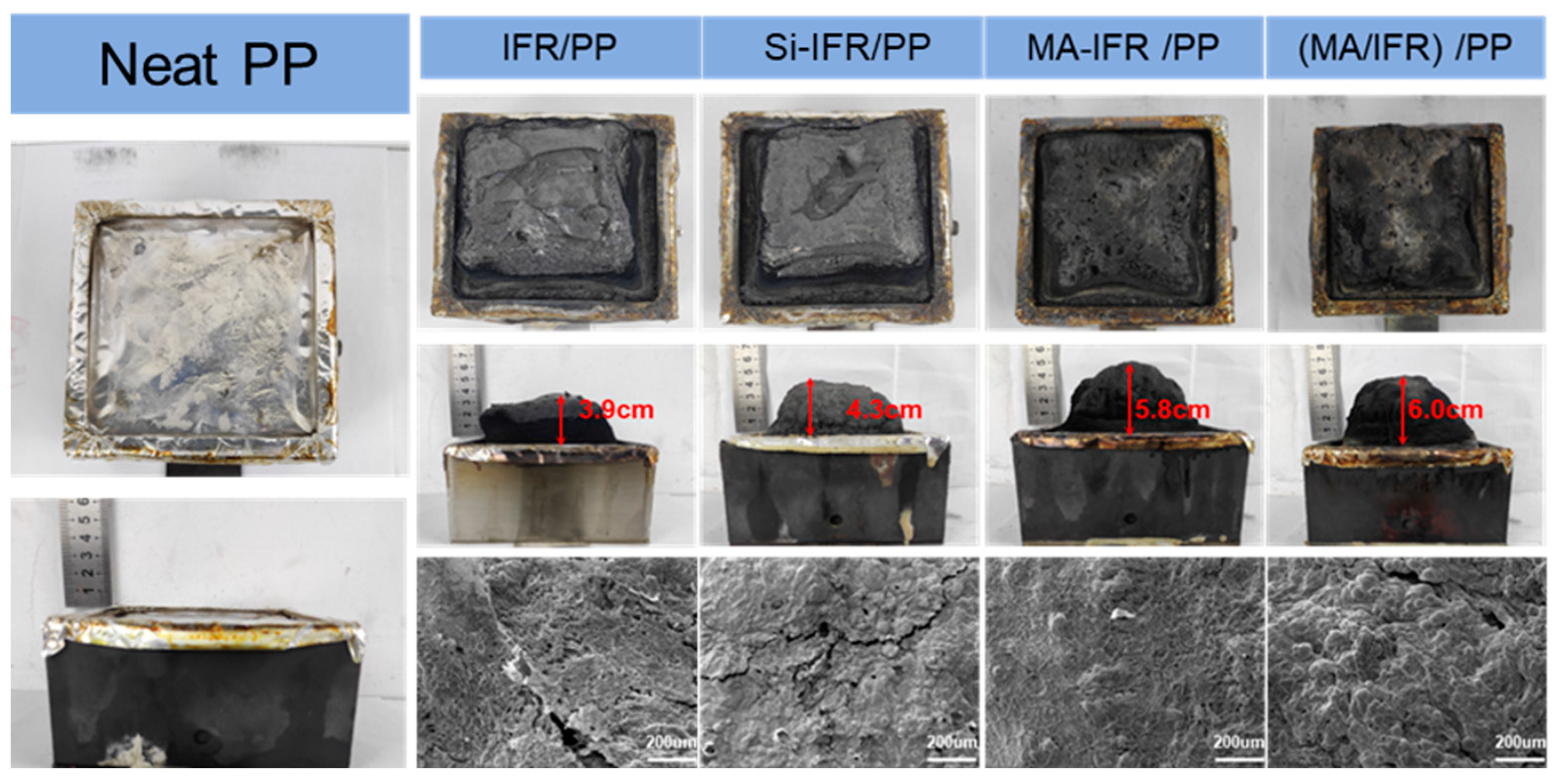 Polymers 17 00399 g006