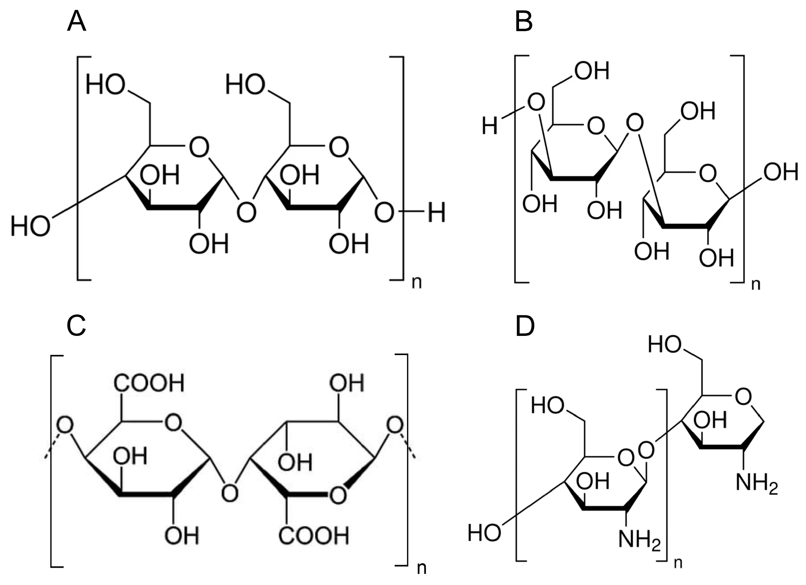 Polymers 17 00405 g001