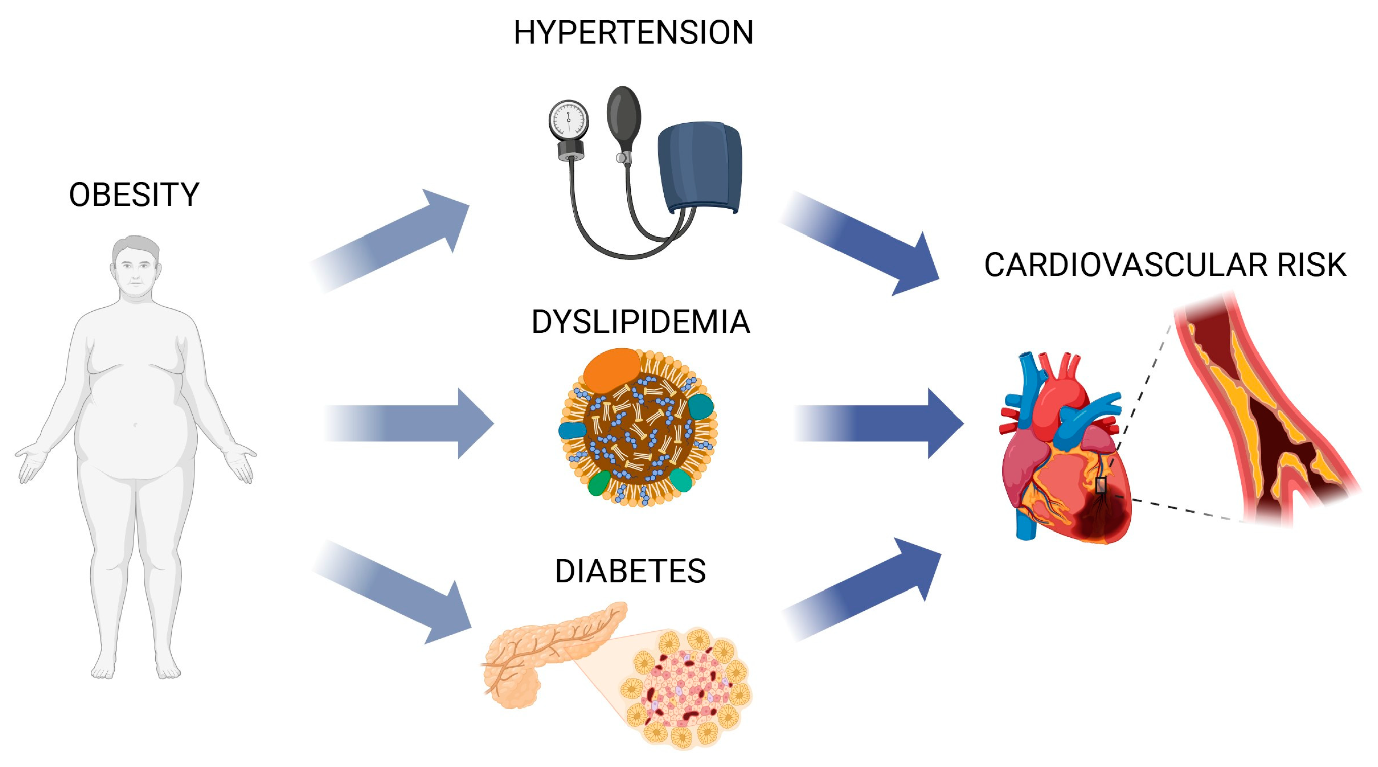 Polymers 17 00405 g002