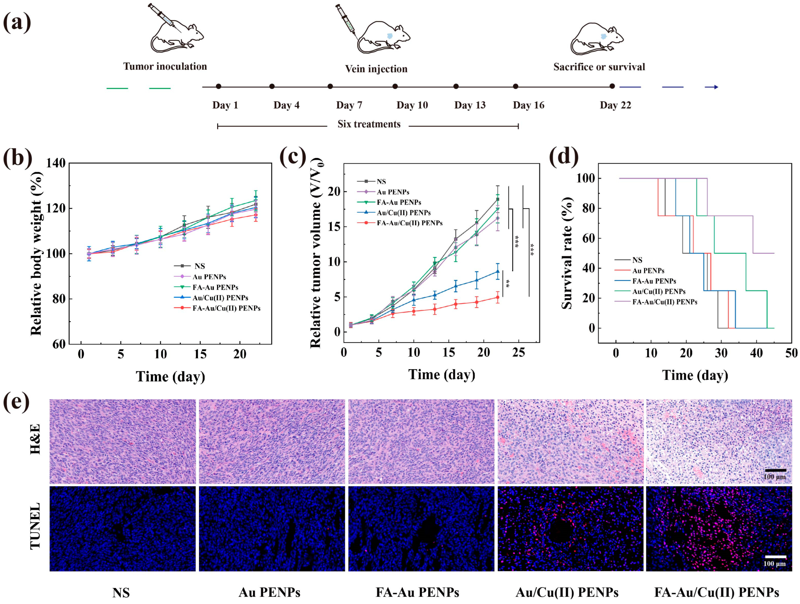 Polymers 17 00423 g006