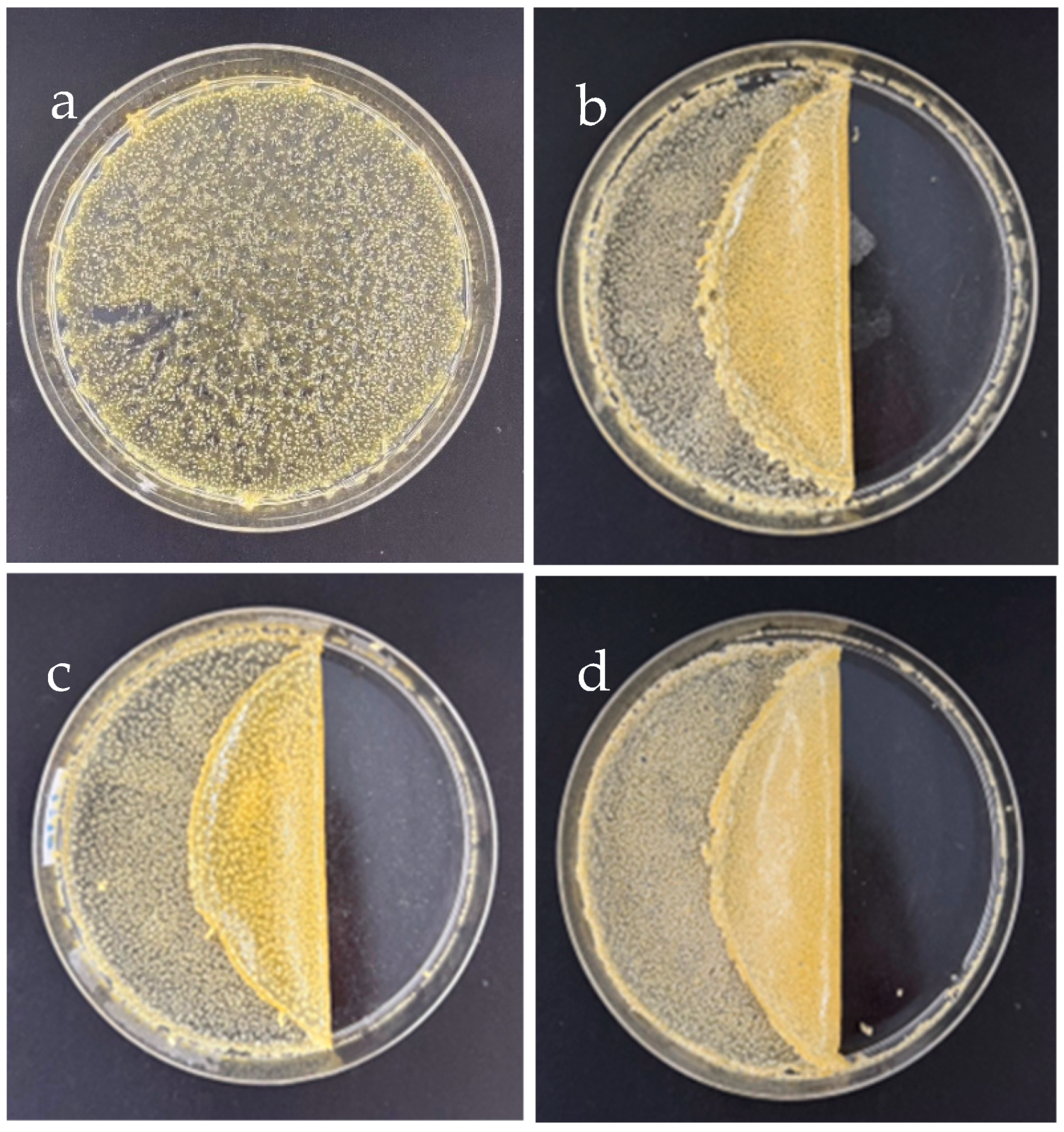 Polymers 17 00425 g002