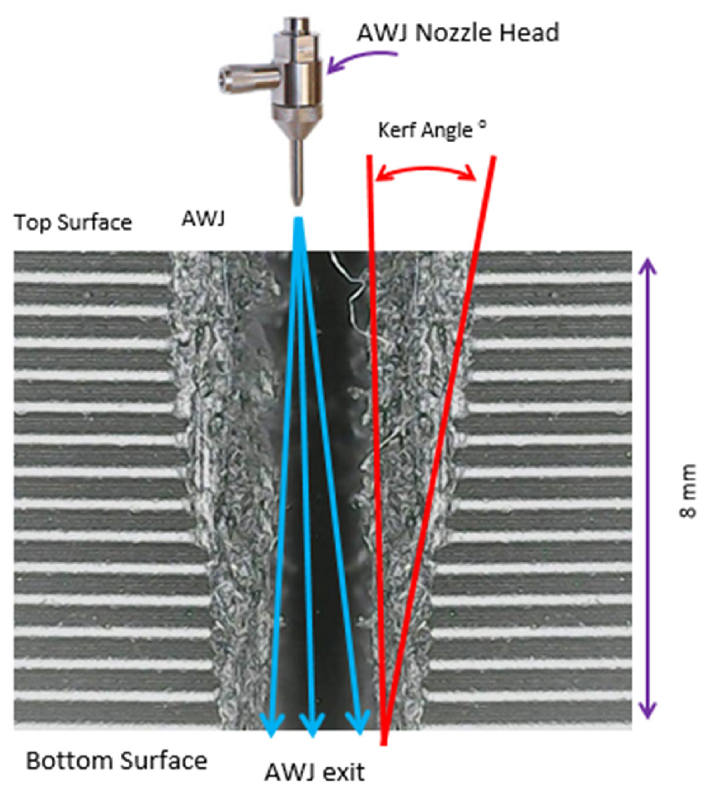Polymers 17 00445 g004 Polymers 17 00445 g004
