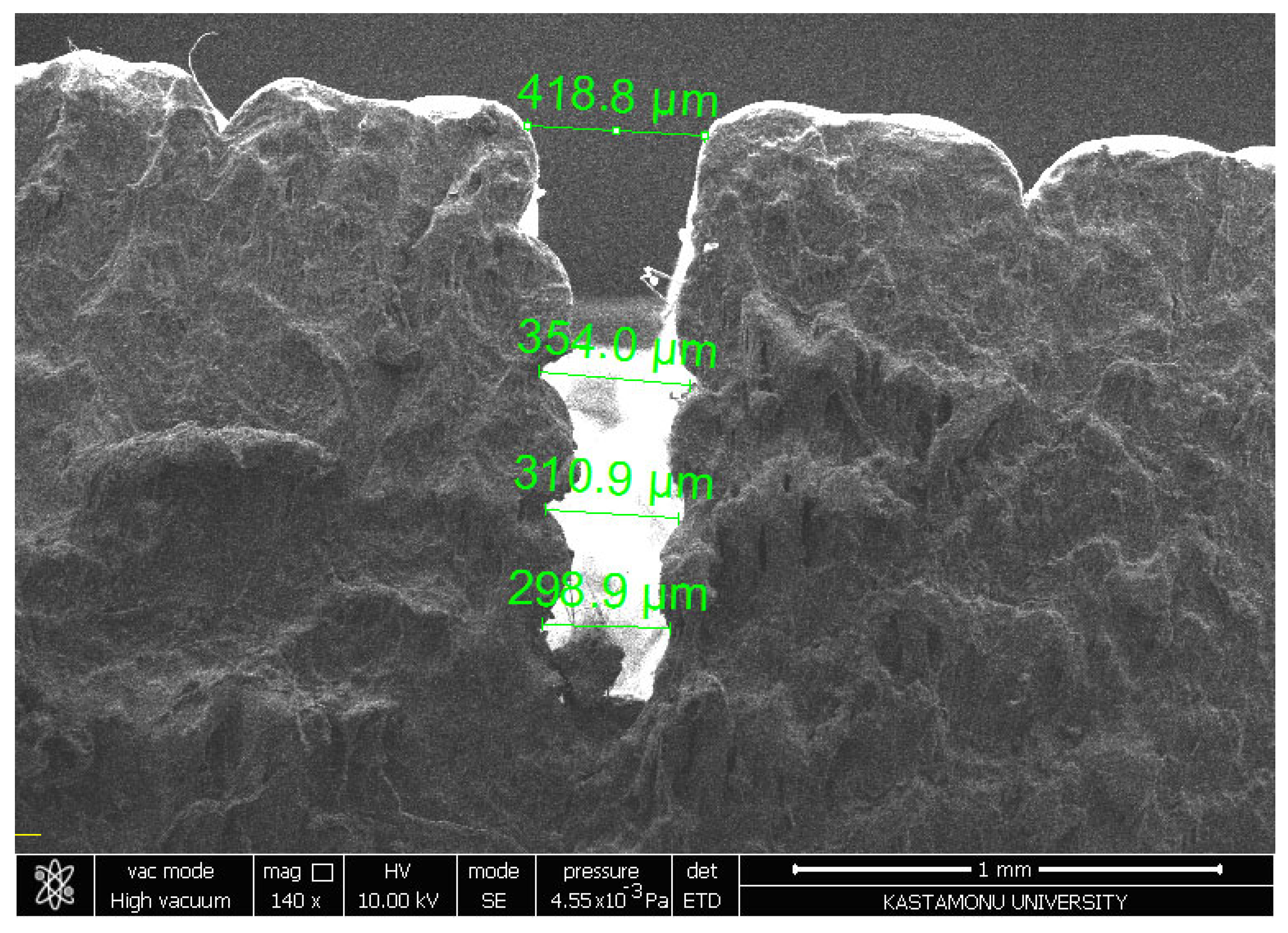 Polymers 17 00445 g013 Polymers 17 00445 g013