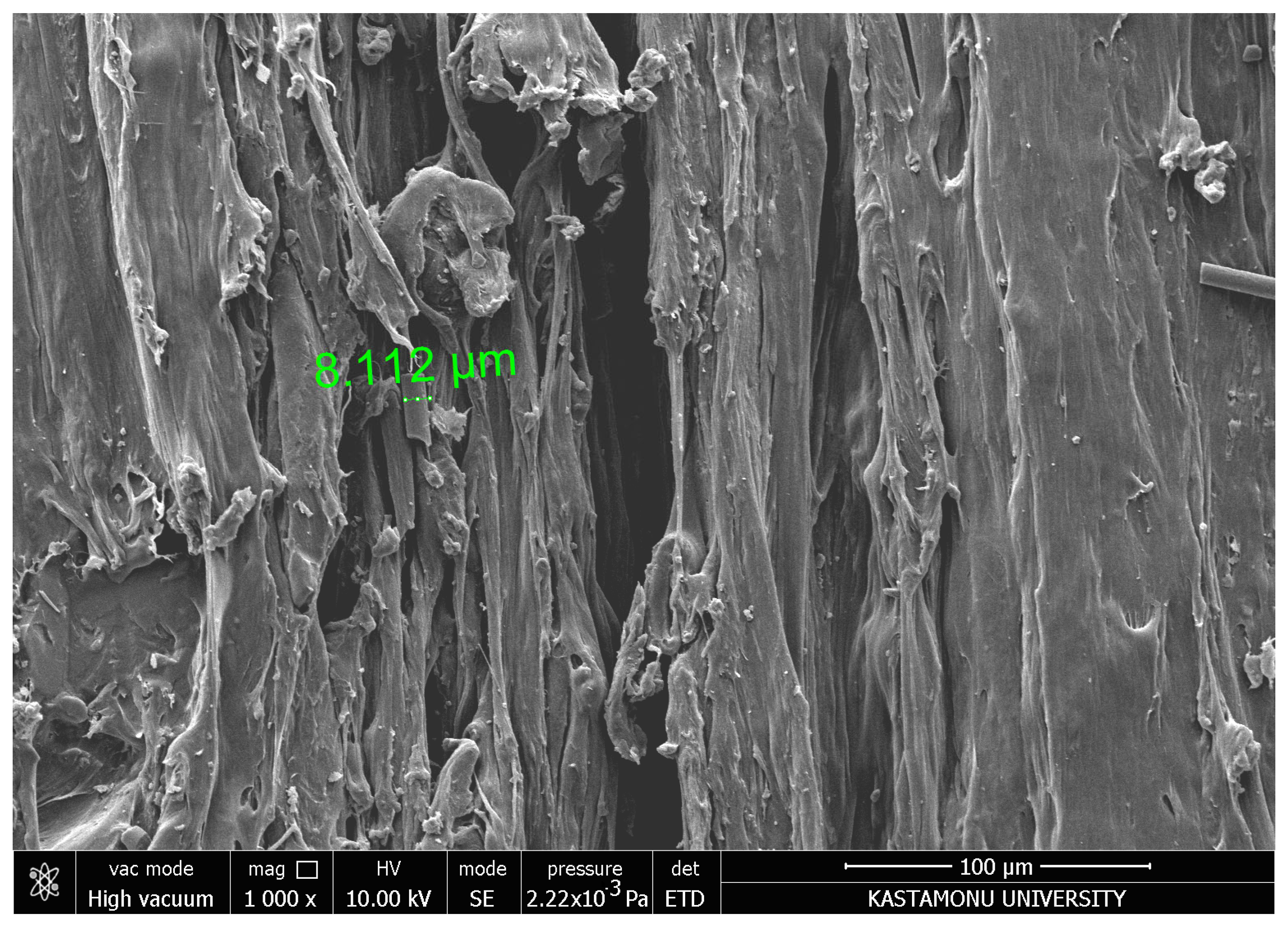 Polymers 17 00445 g014 Polymers 17 00445 g014