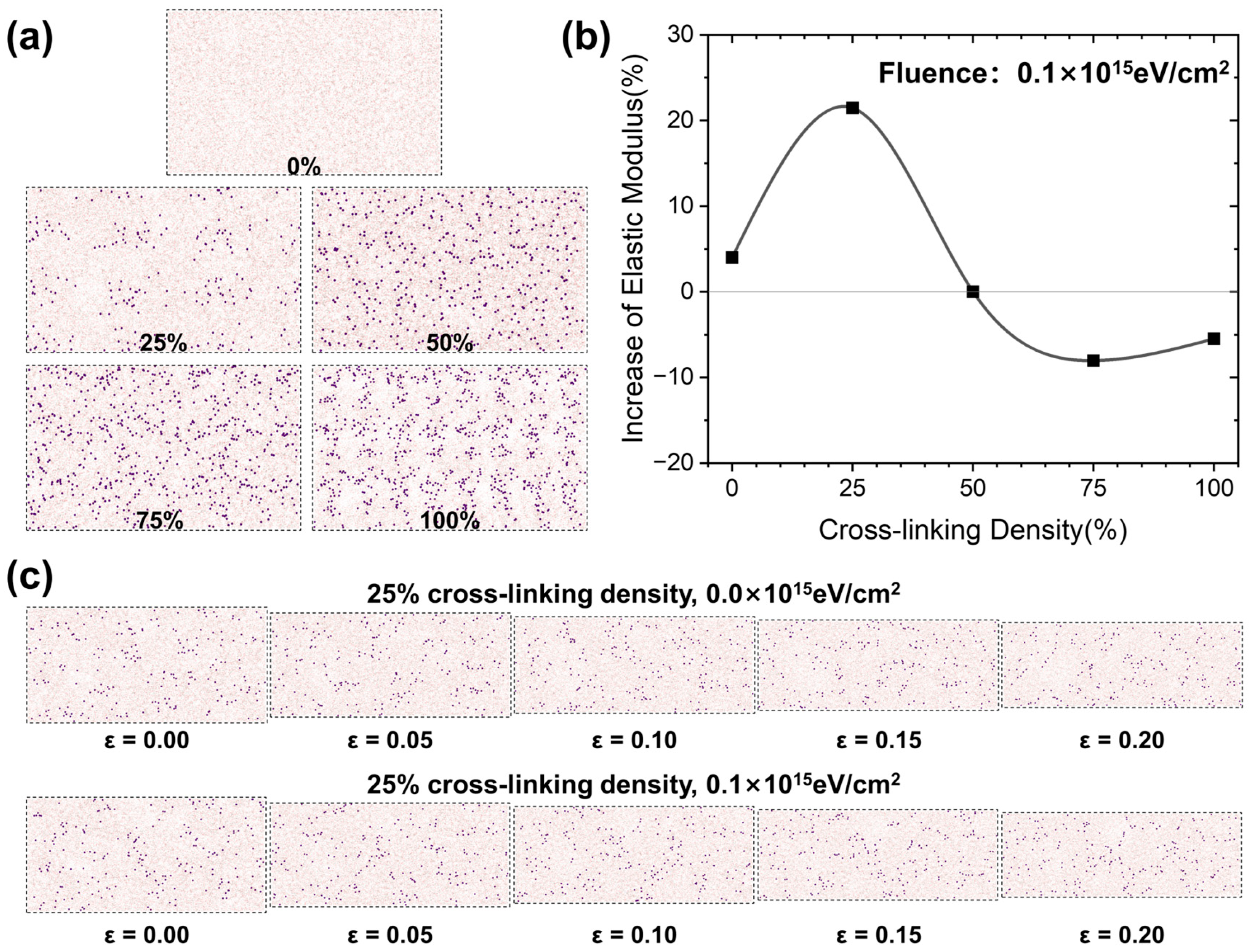 Polymers 17 00447 g009