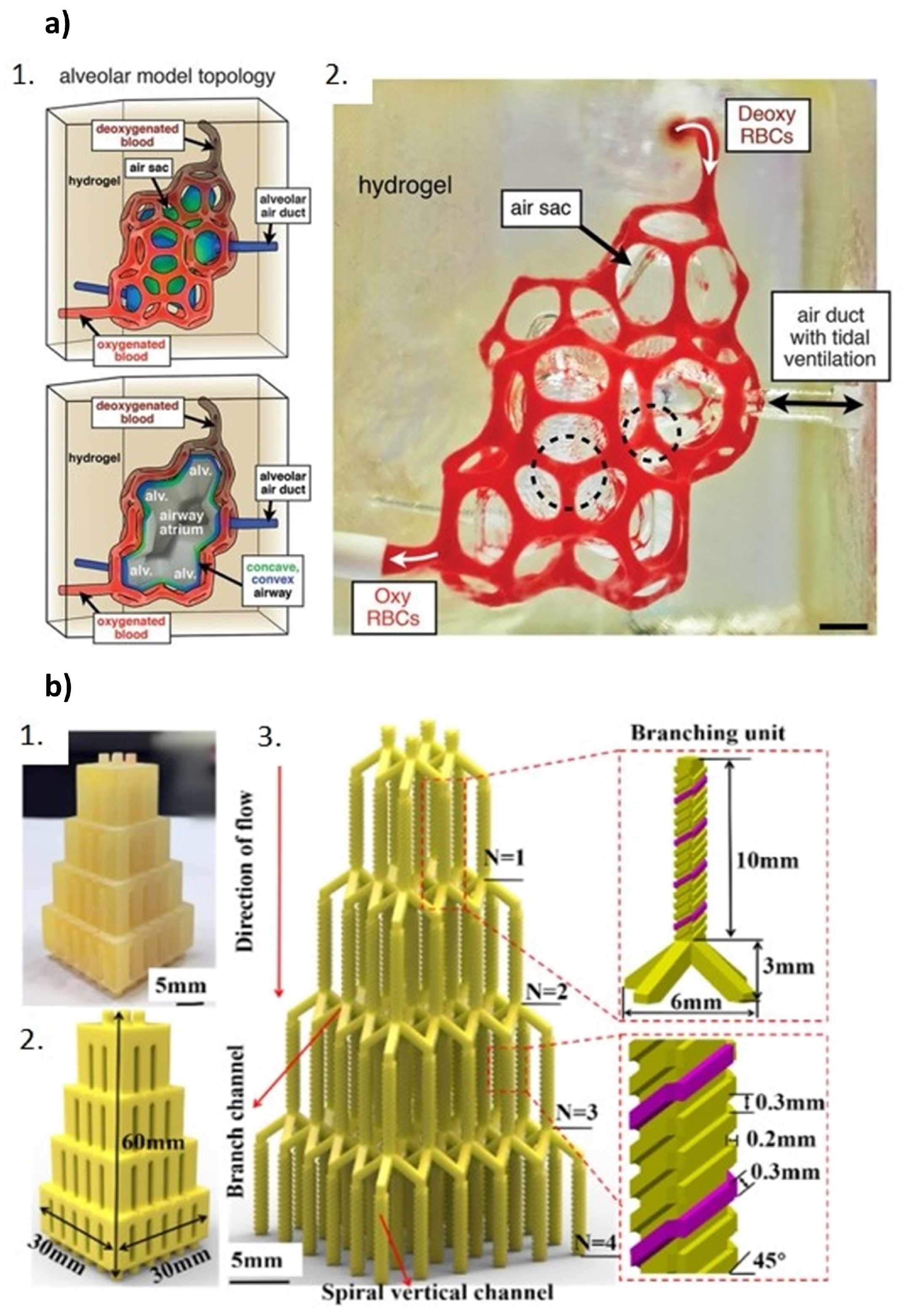Polymers 17 00455 g003