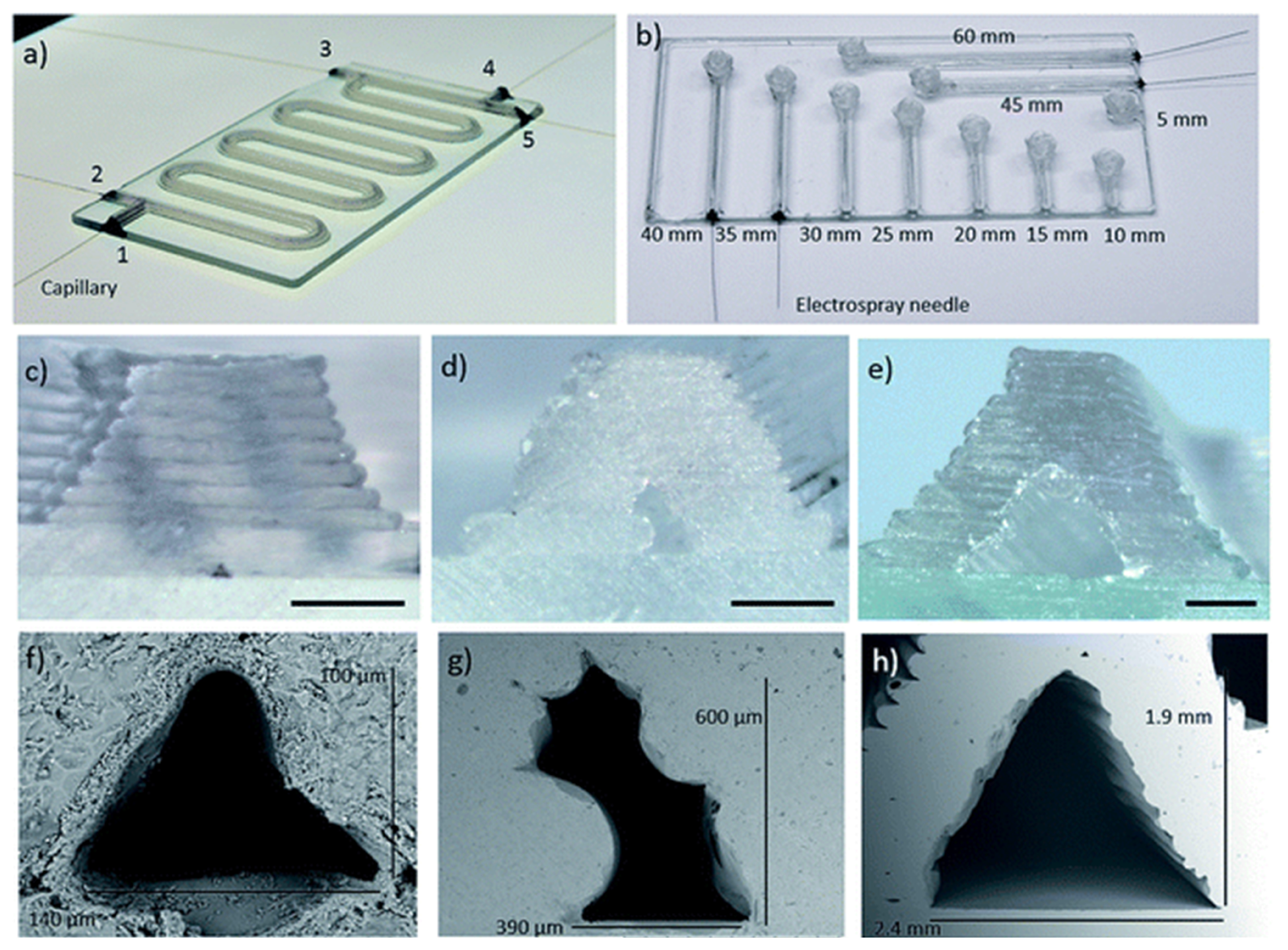 Polymers 17 00455 g004
