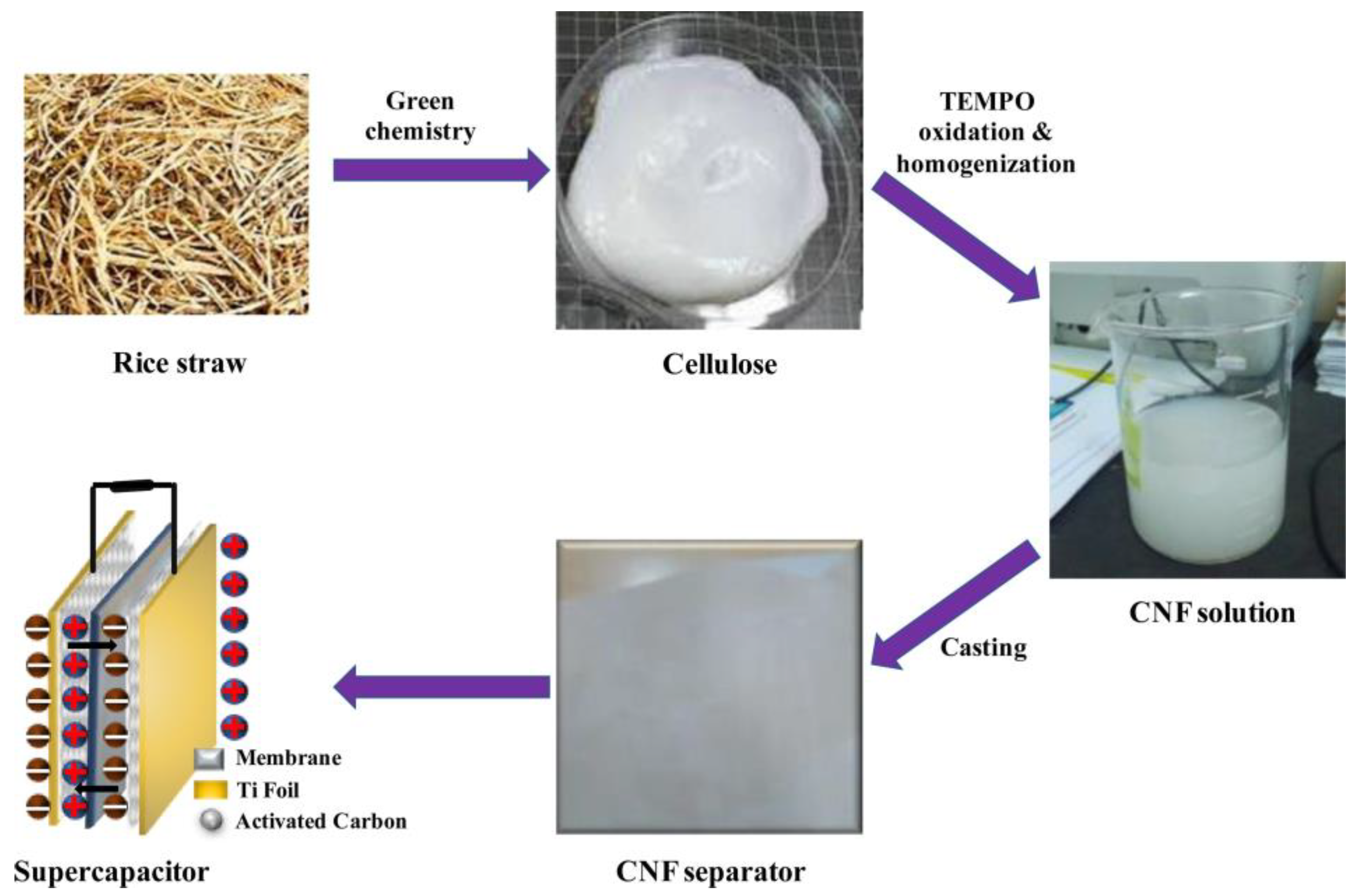 Polymers 17 00456 g003