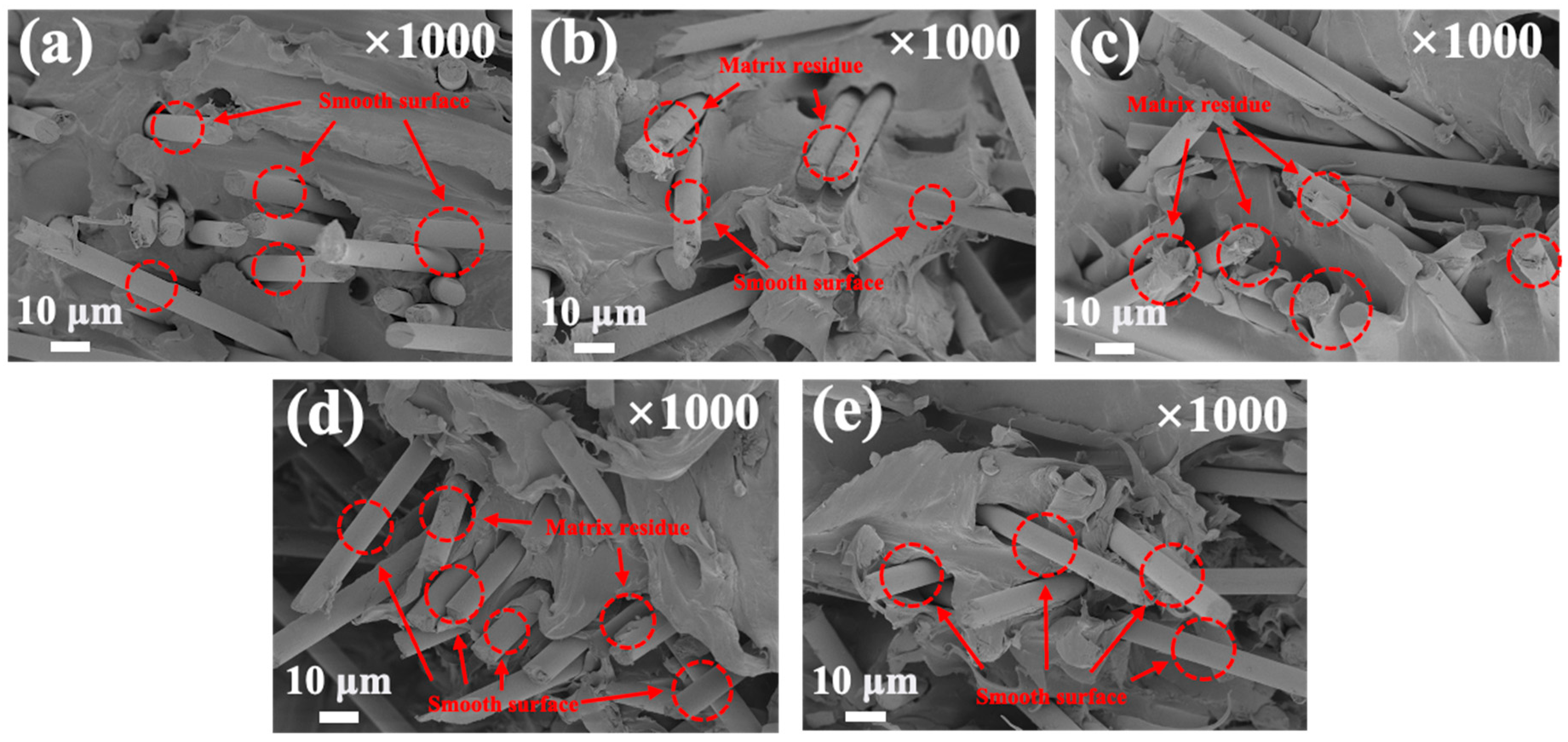 Polymers 17 00483 g009