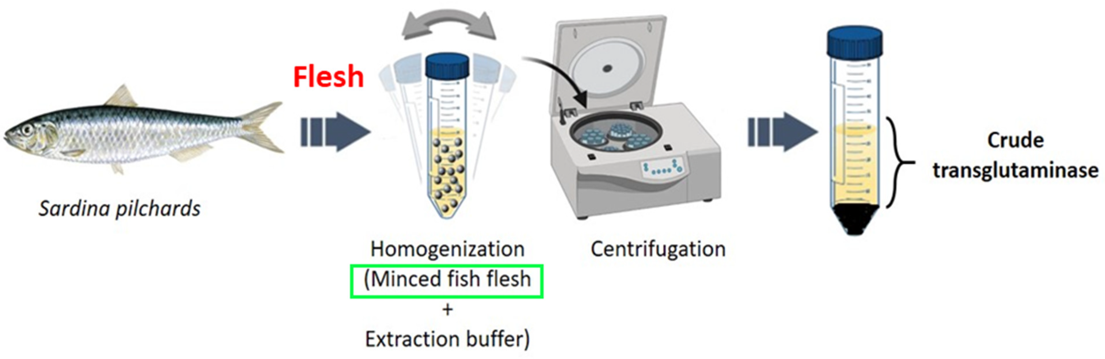 Polymers 17 00510 g001