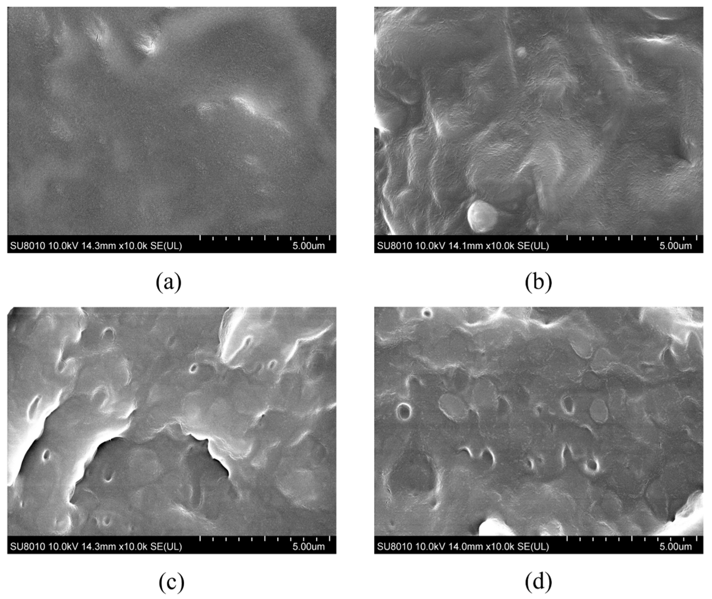 Polymers 17 00530 g002