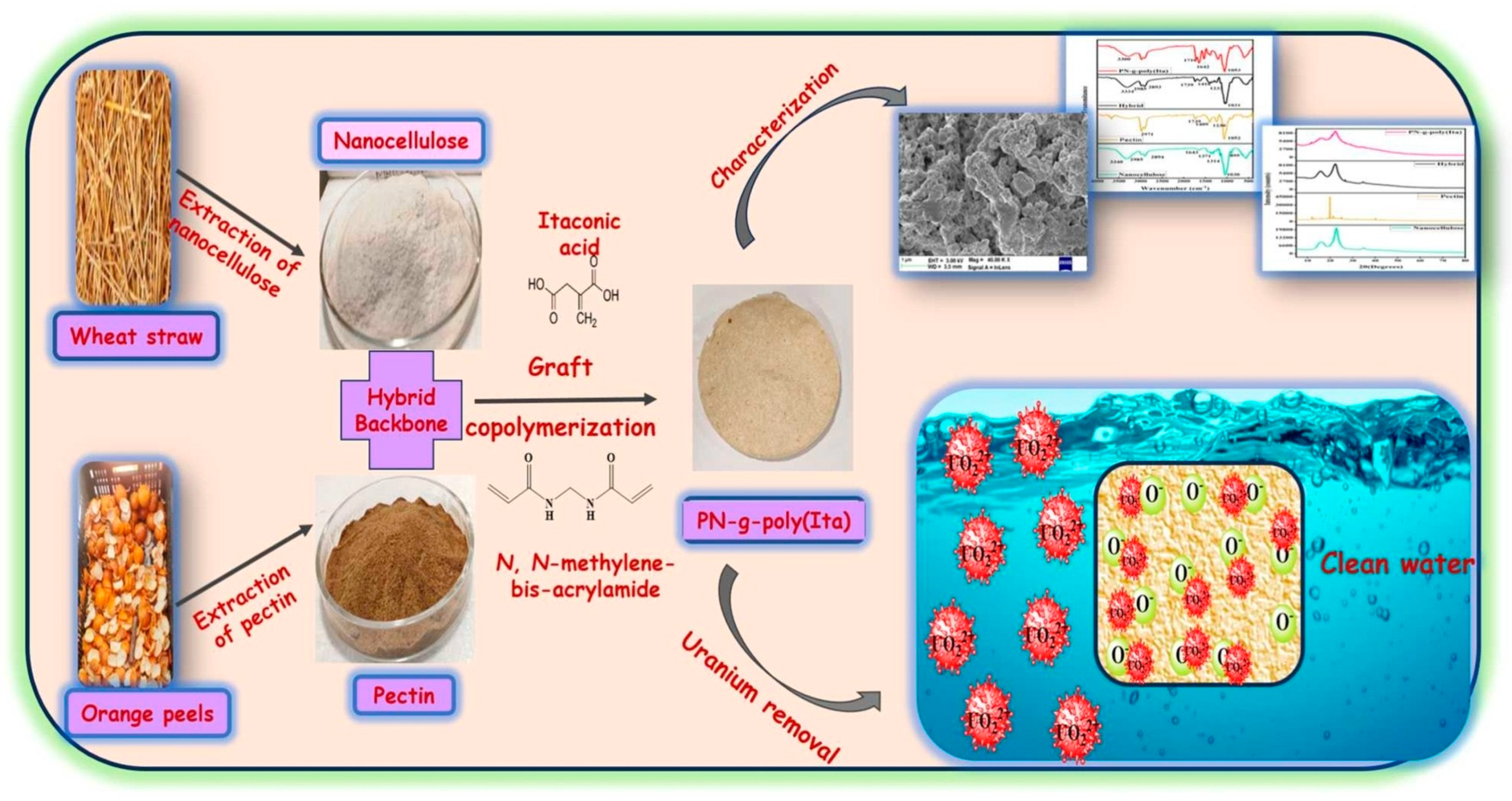 Polymers 17 00559 g021 Polymers 17 00559 g021