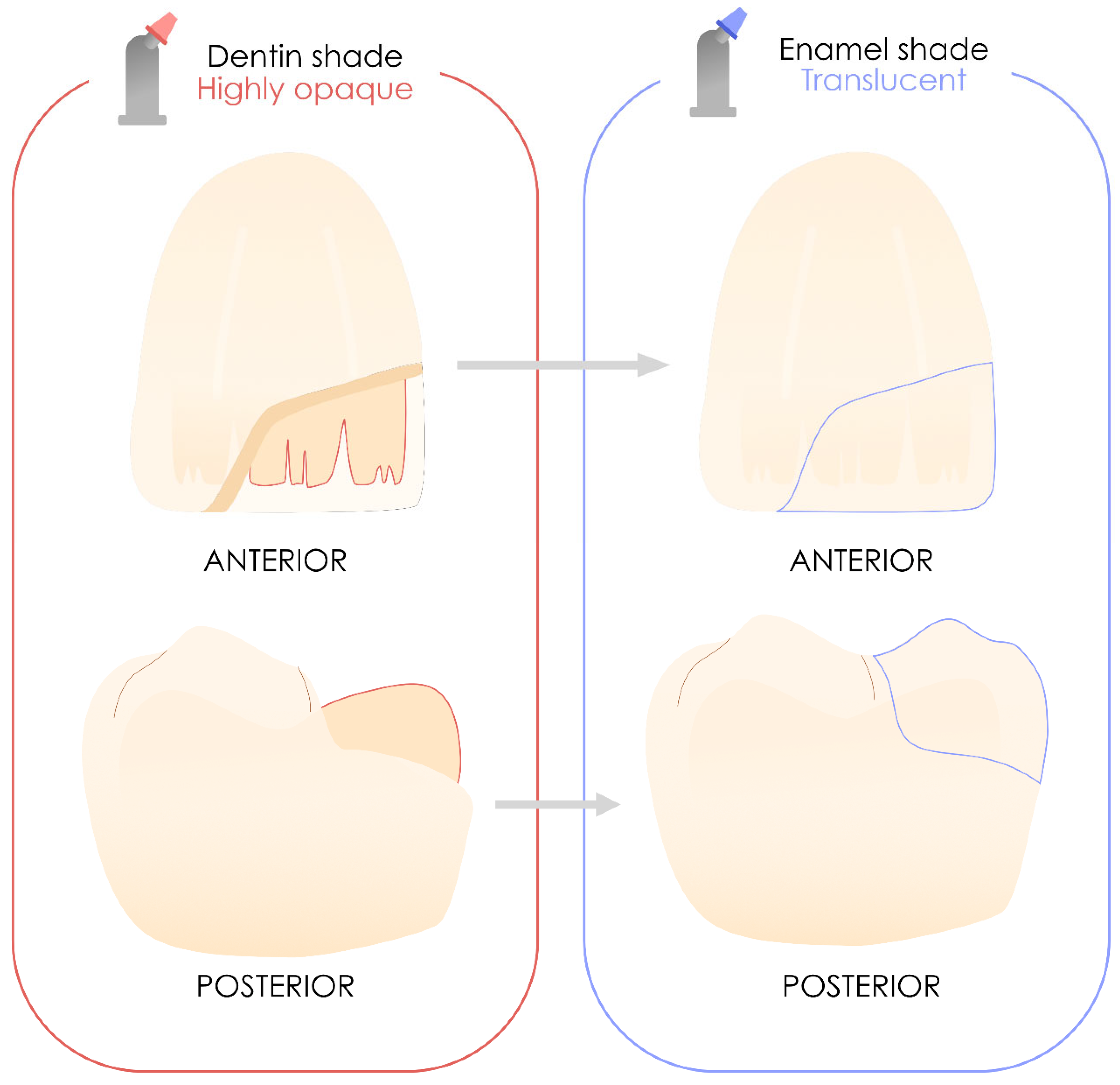 Polymers 17 00564 g007