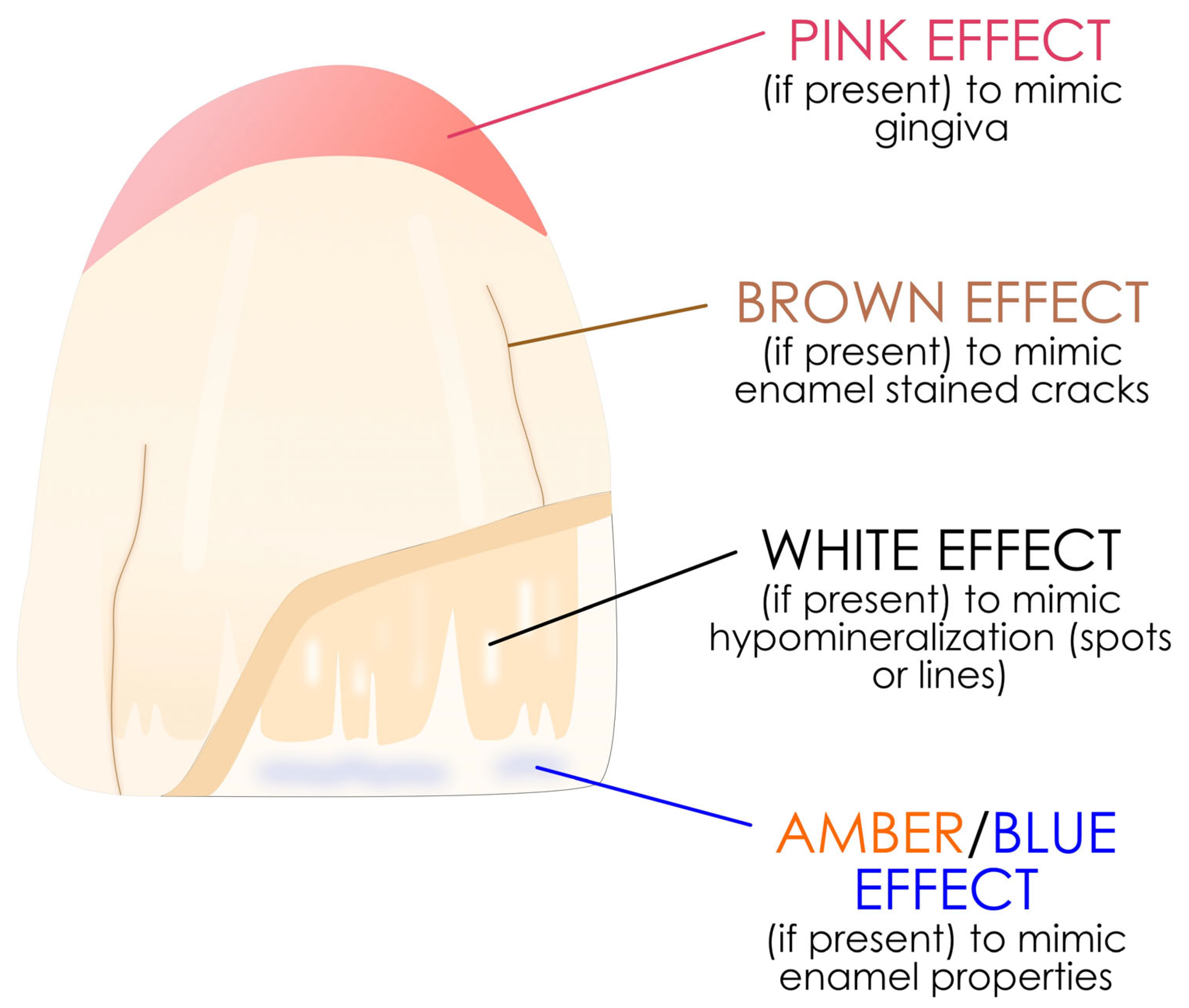 Polymers 17 00564 g009