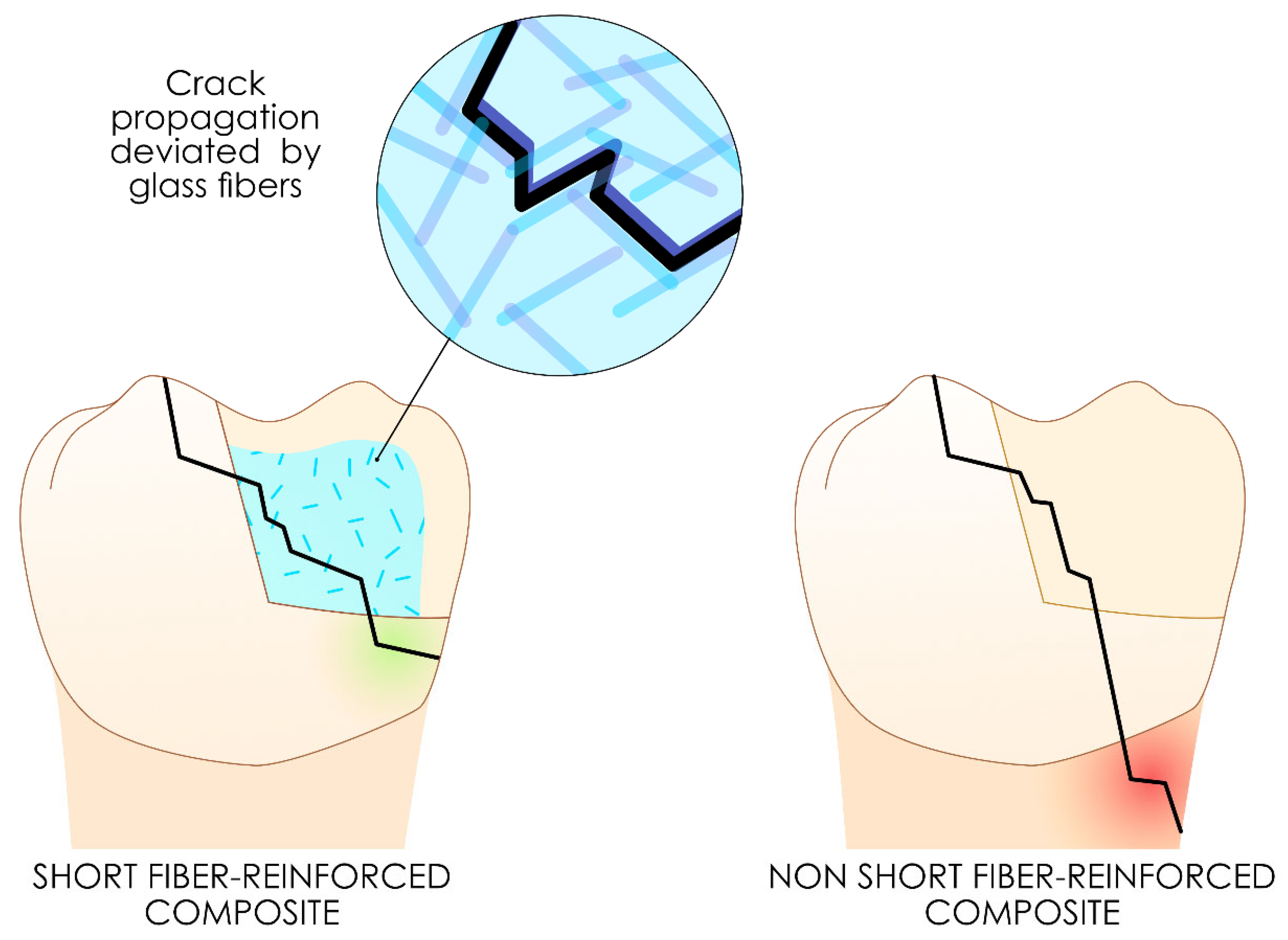 Polymers 17 00564 g010