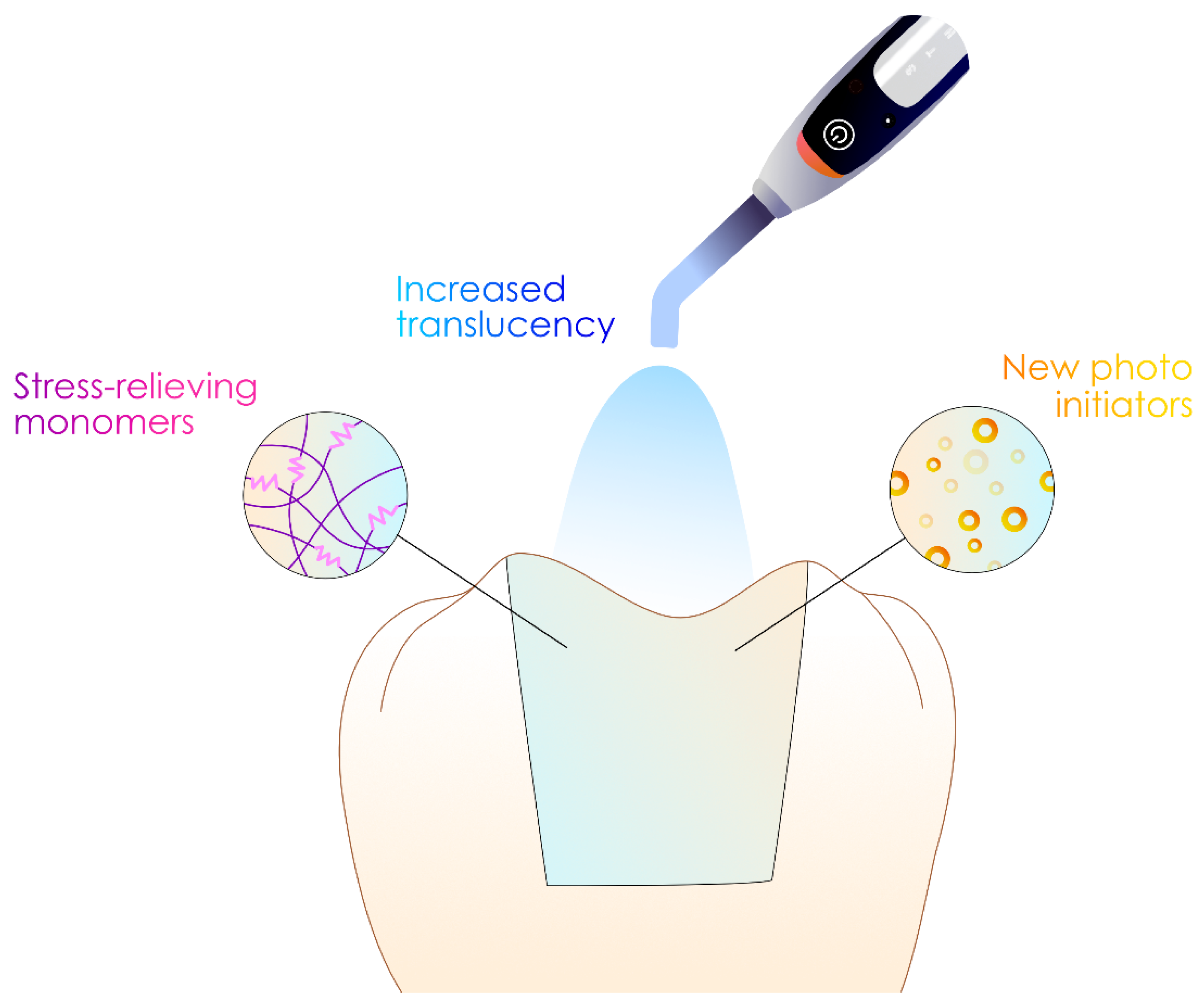 Polymers 17 00564 g012