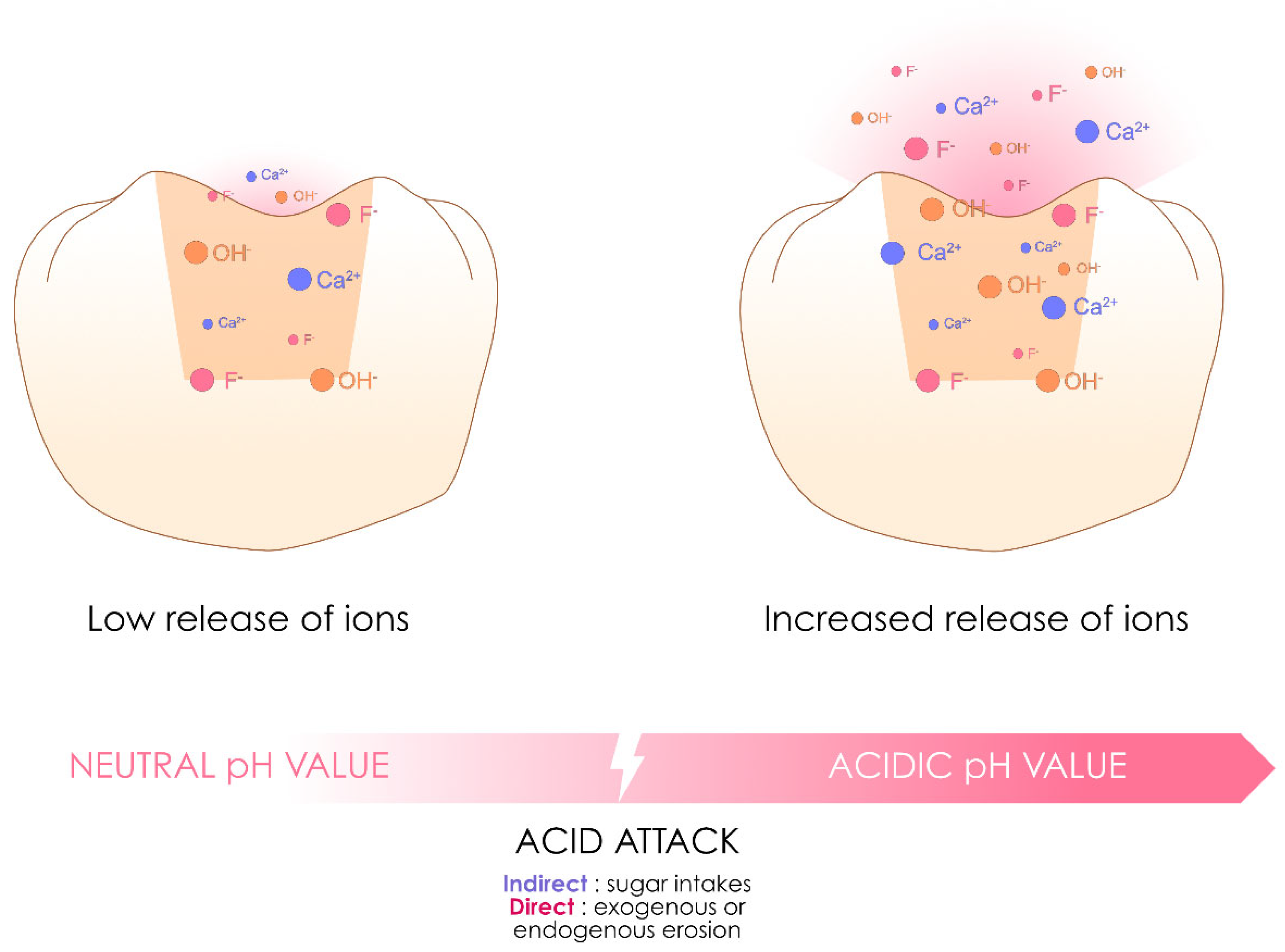 Polymers 17 00564 g014