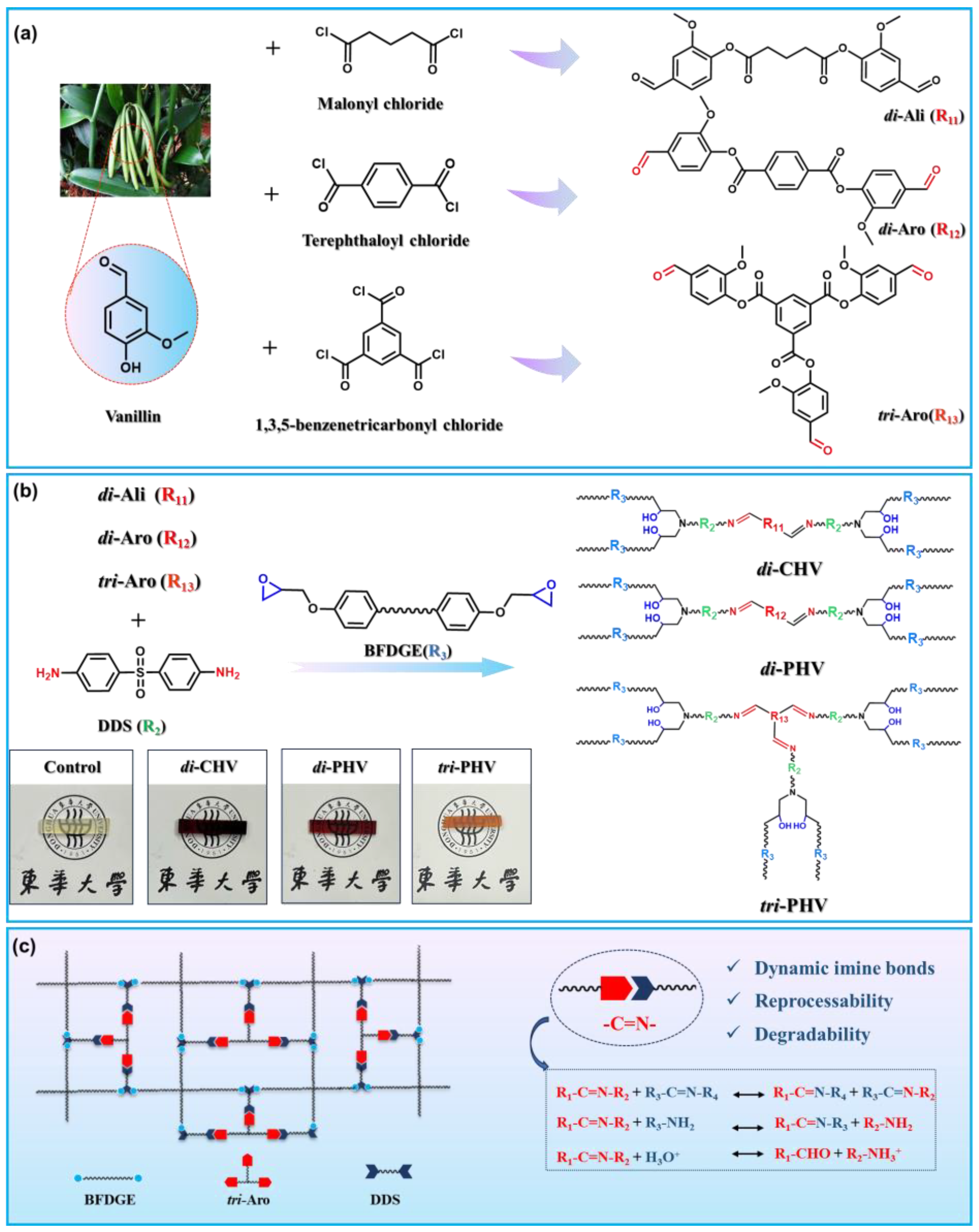 Polymers 17 00571 sch001