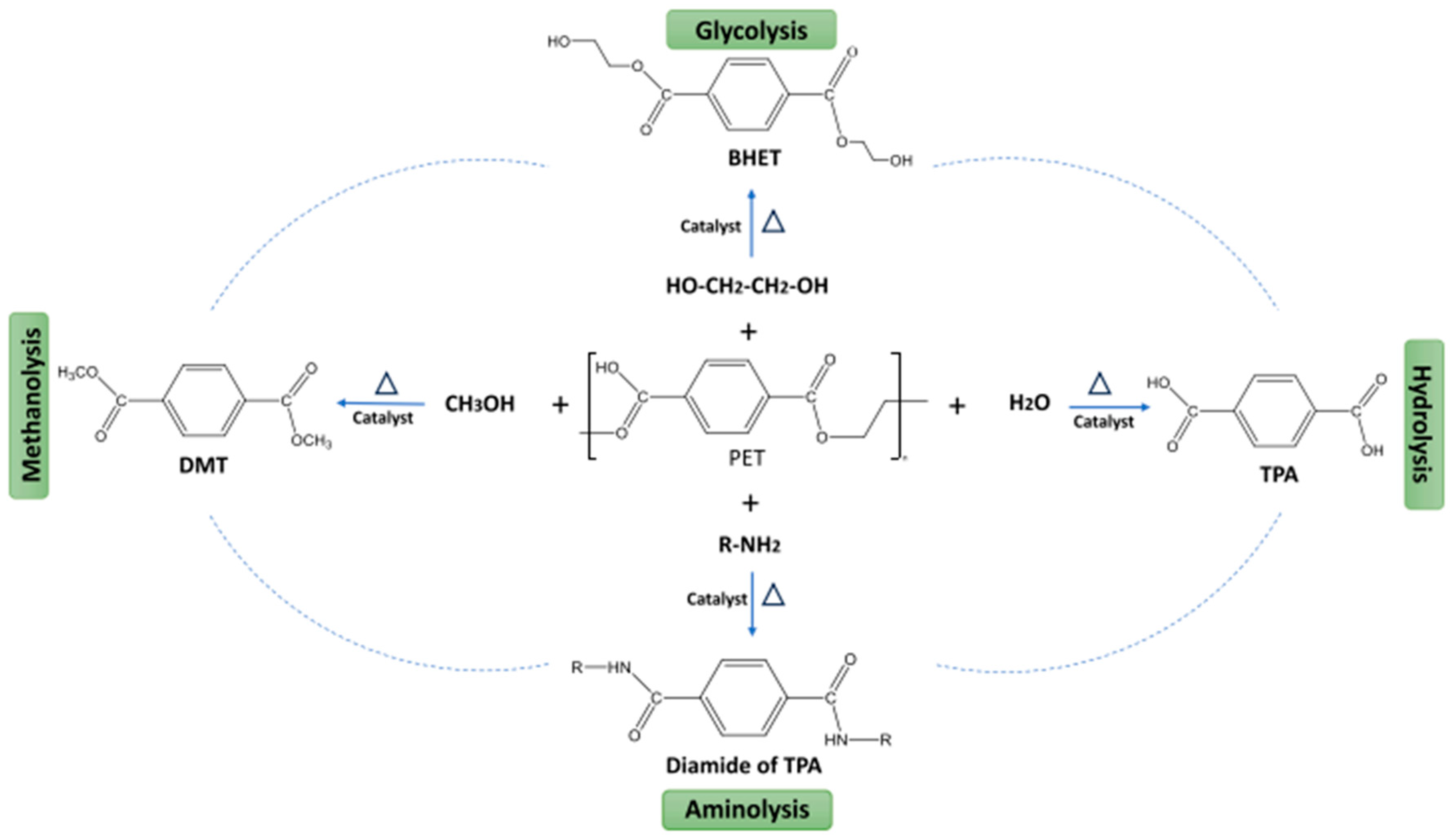 Polymers 17 00594 g005