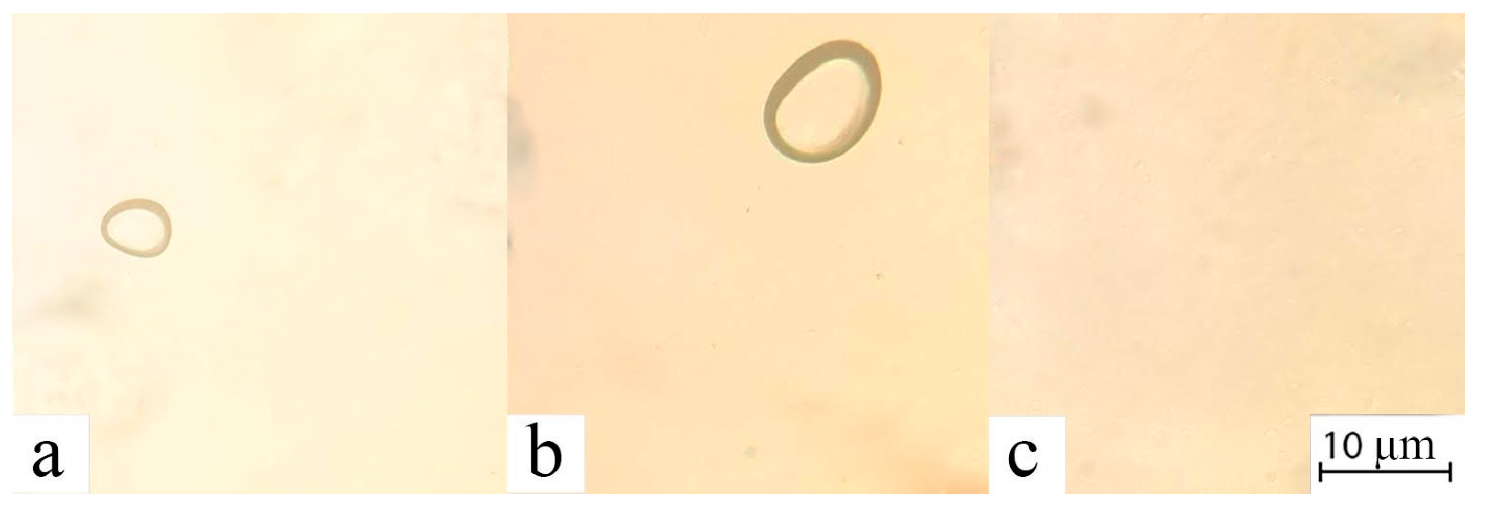 Polymers 17 00598 g003