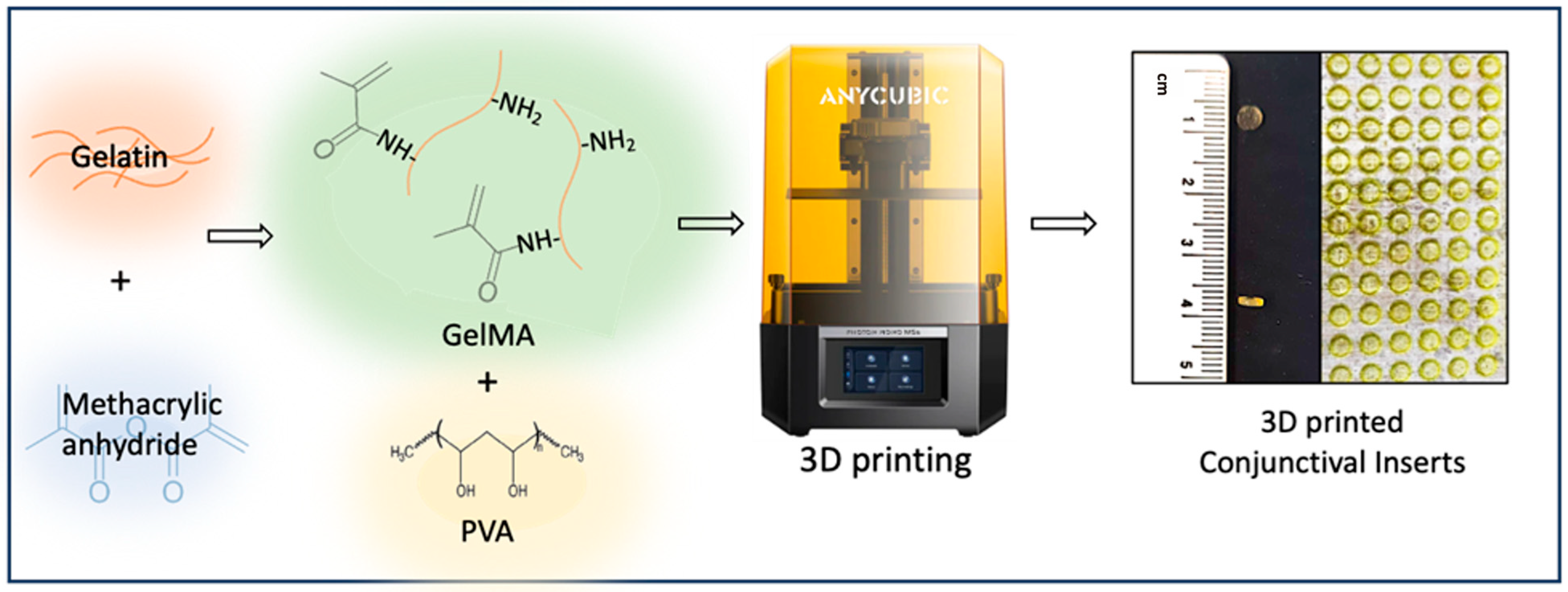 Polymers 17 00623 g002