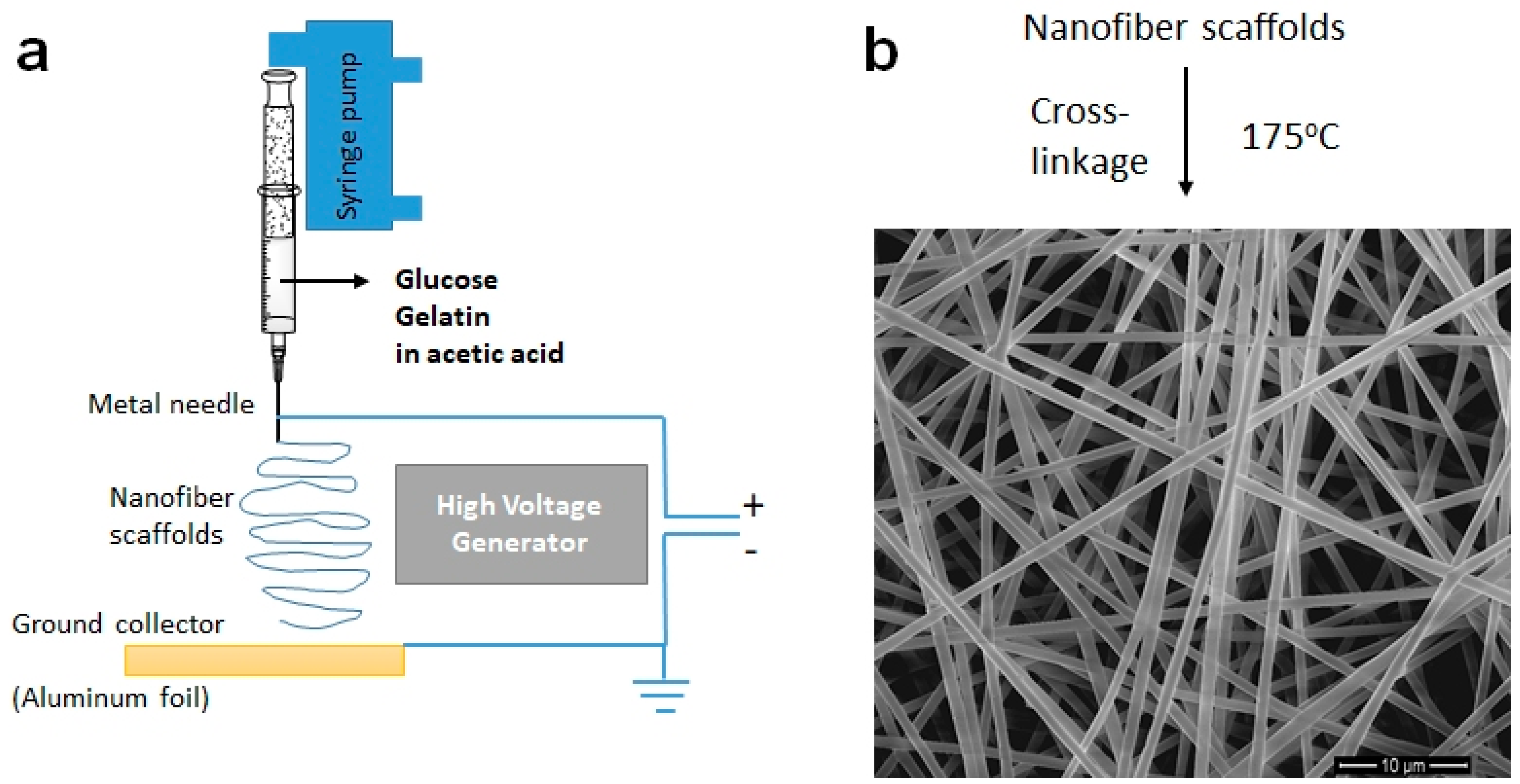 Polymers 17 00631 sch001 Polymers 17 00631 sch001