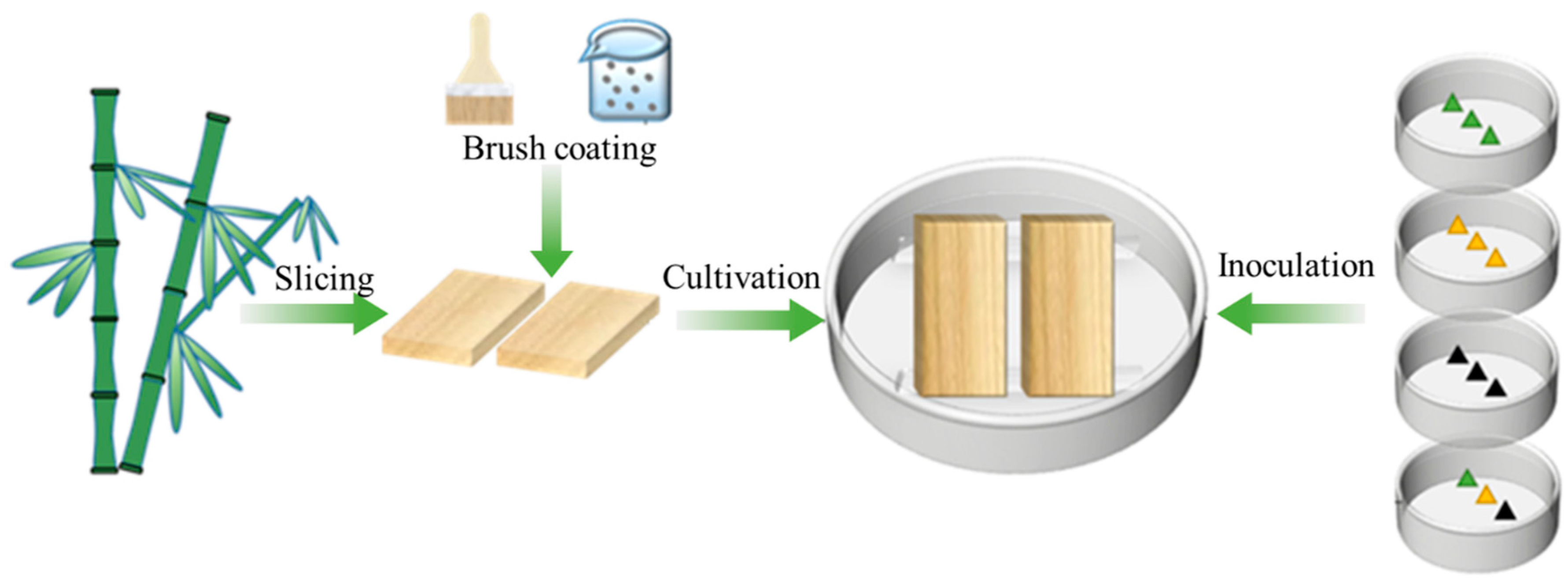 Polymers 17 00679 g001
