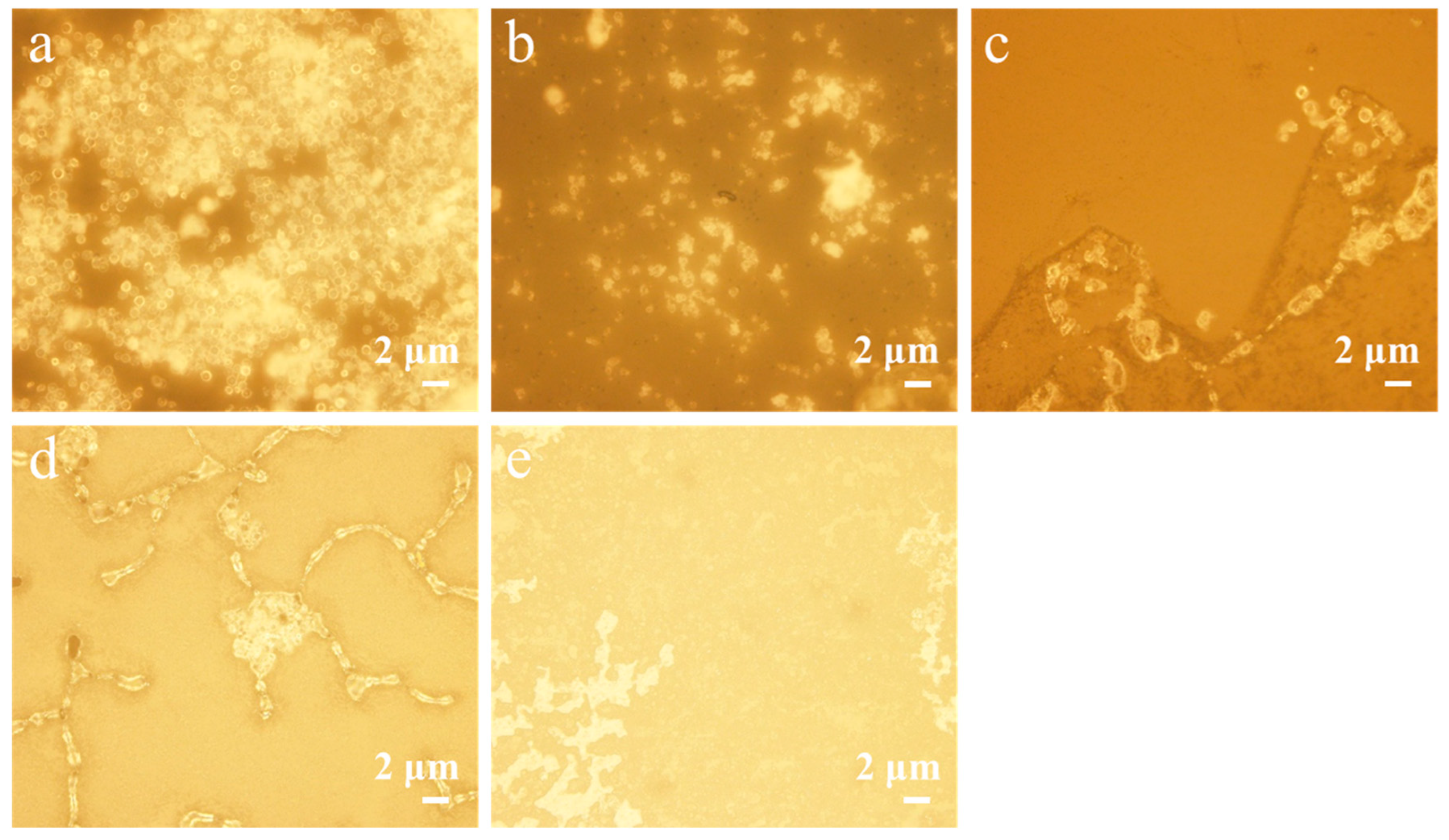 Polymers 17 00679 g002