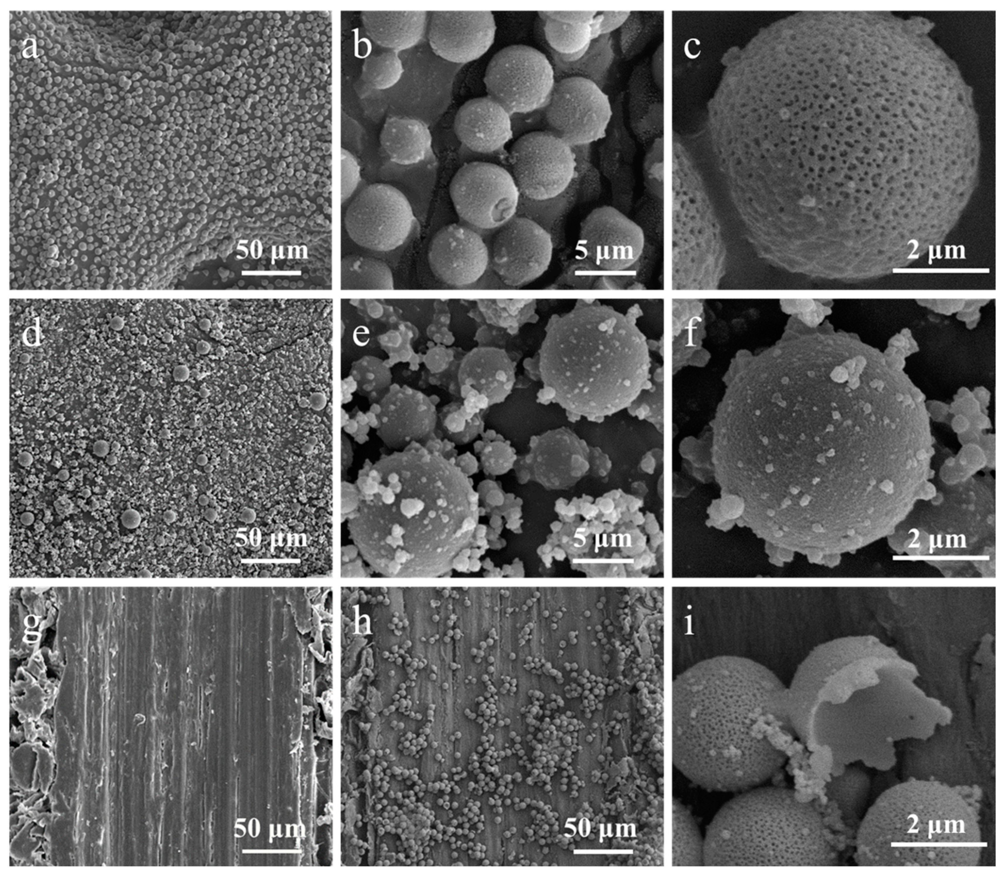 Polymers 17 00679 g003