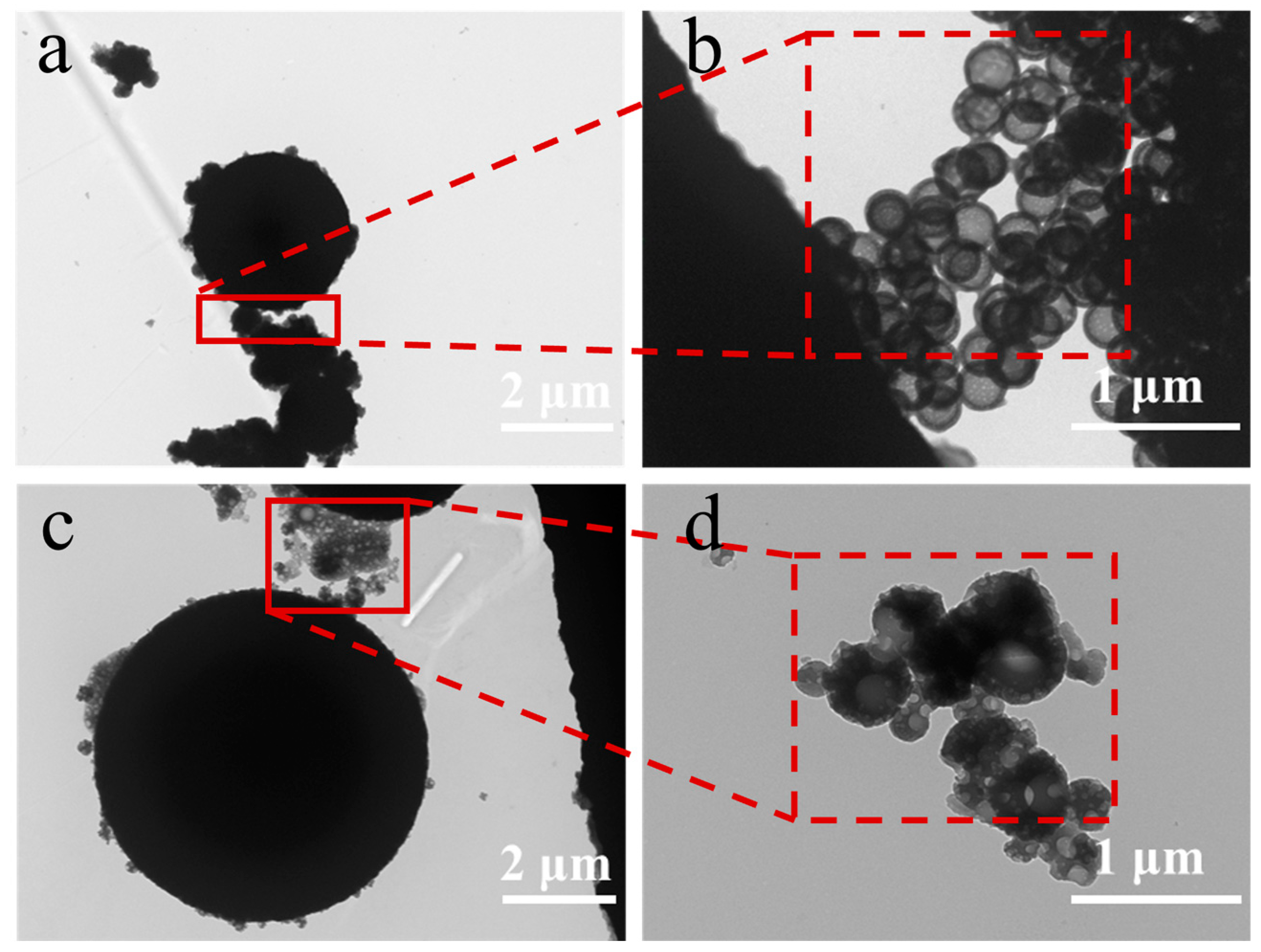 Polymers 17 00679 g004