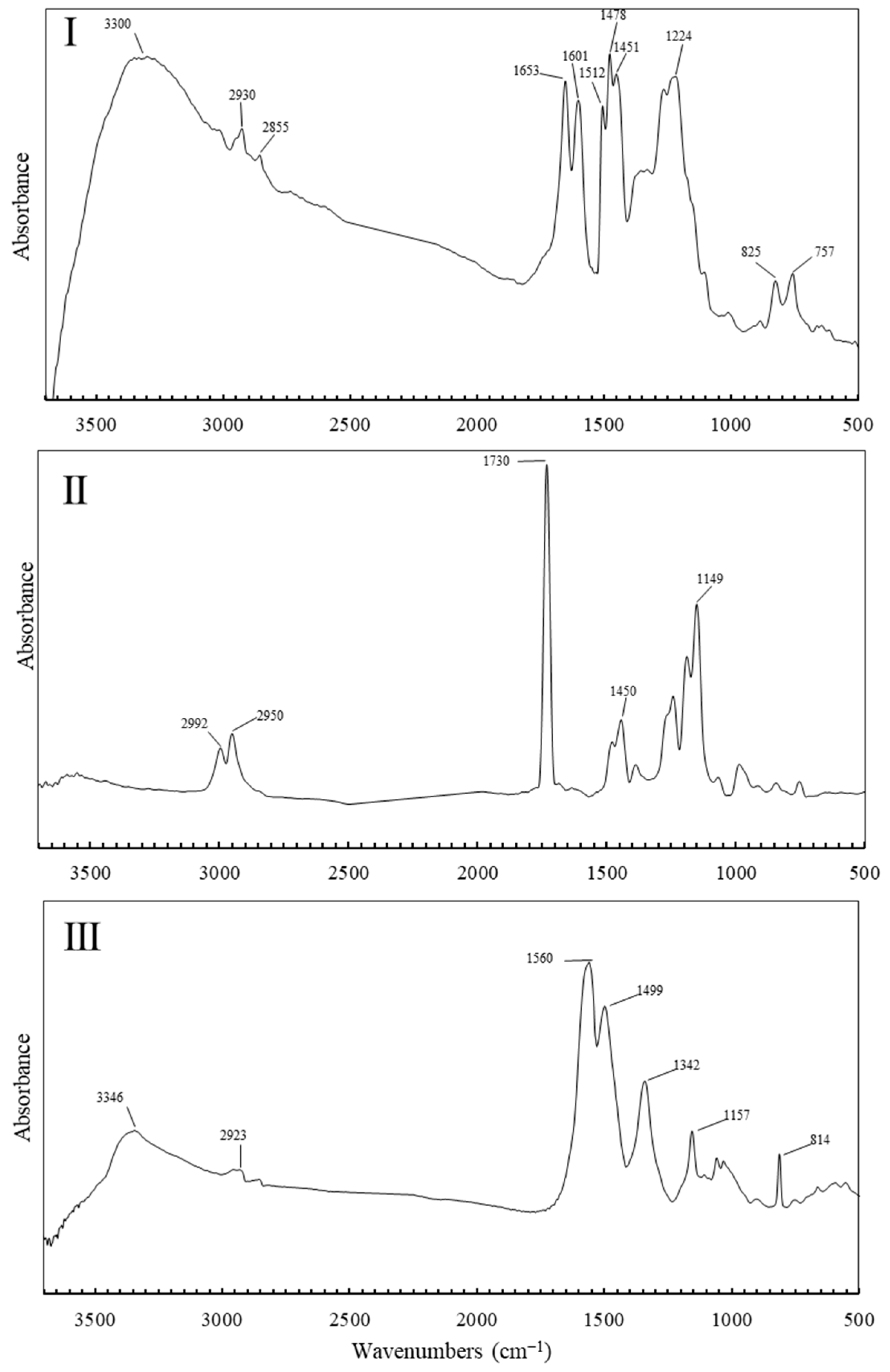 Polymers 17 00681 g006