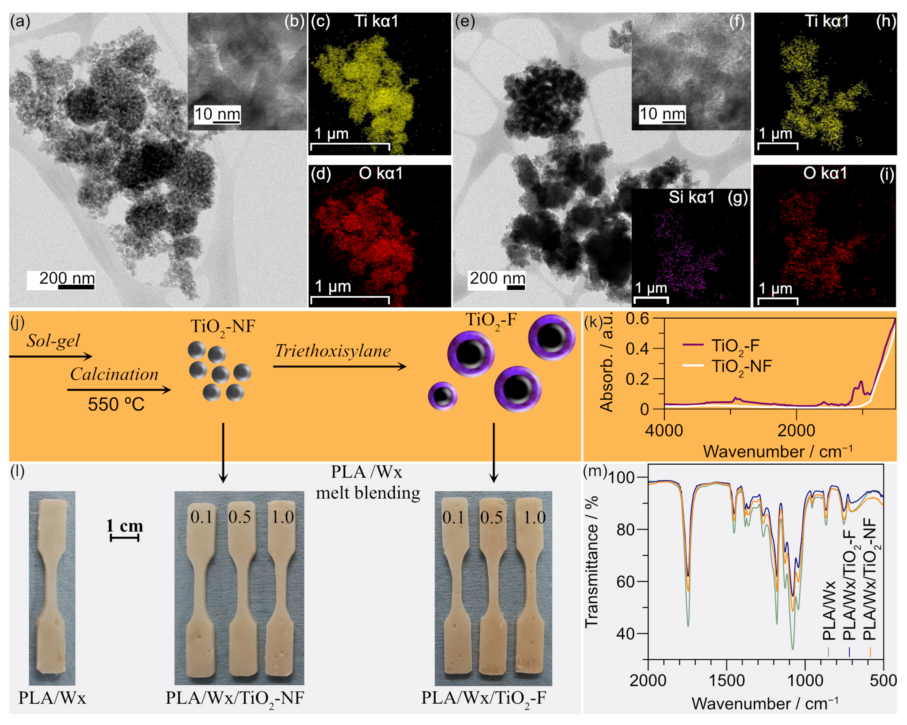 Polymers 17 00685 g001