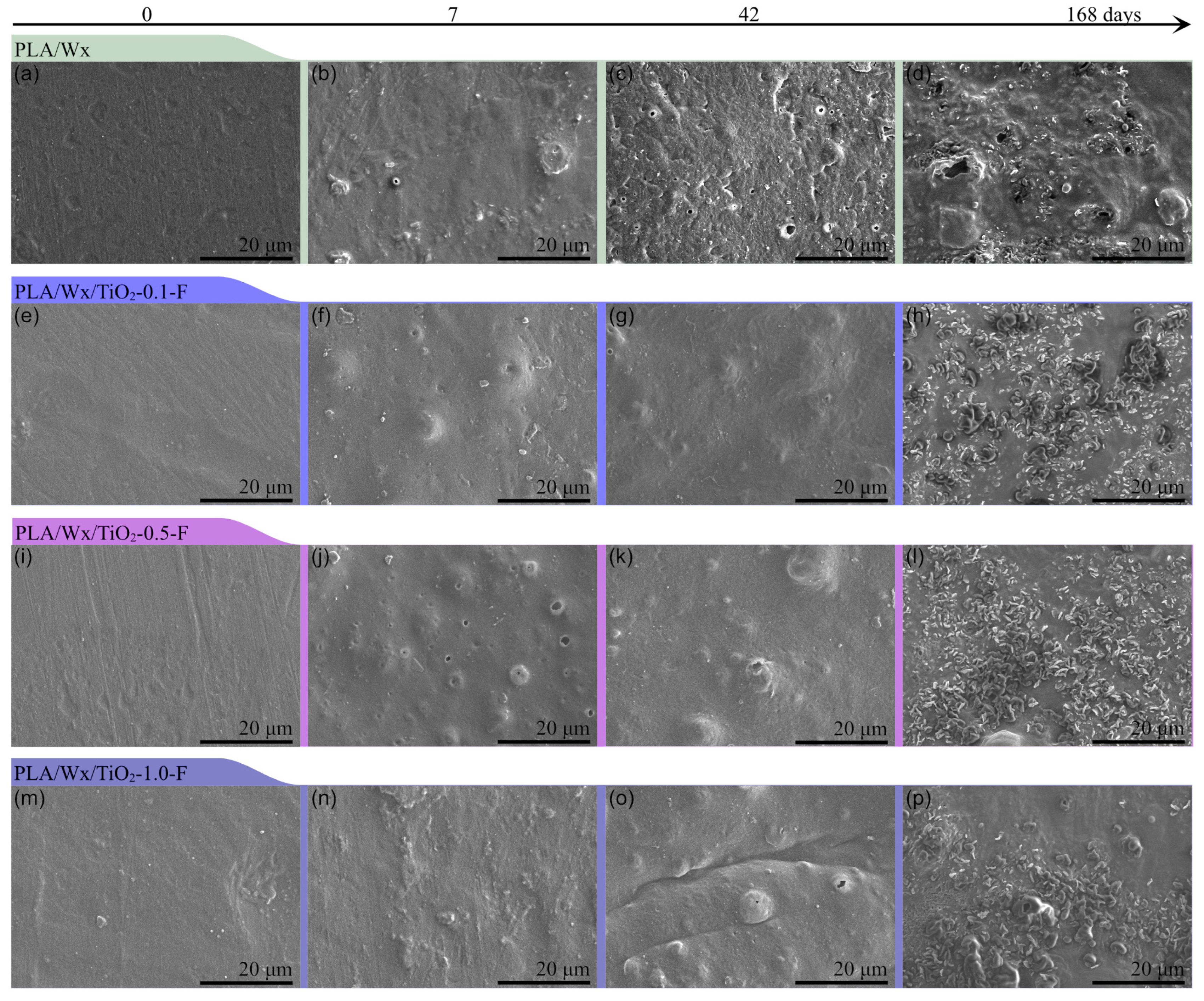 Polymers 17 00685 g006