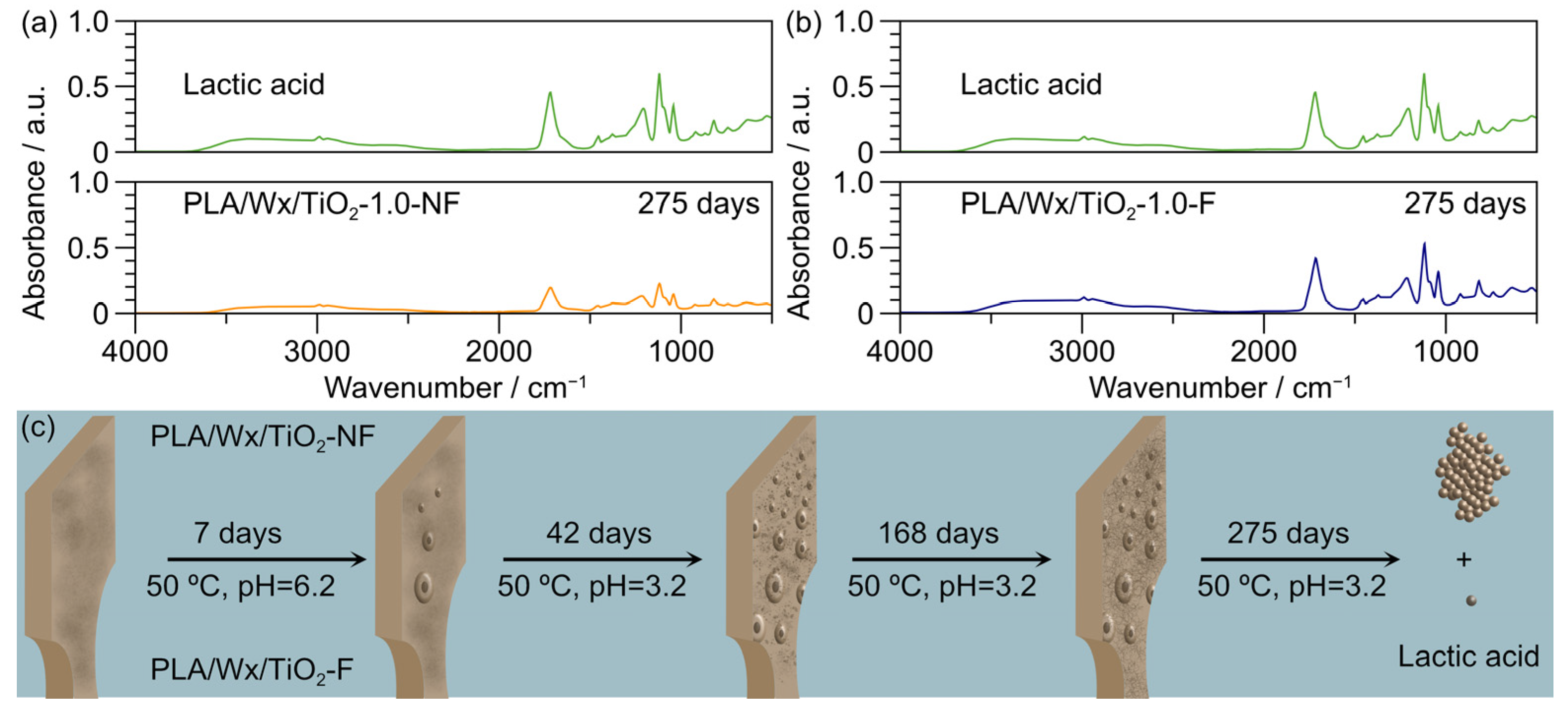 Polymers 17 00685 g007