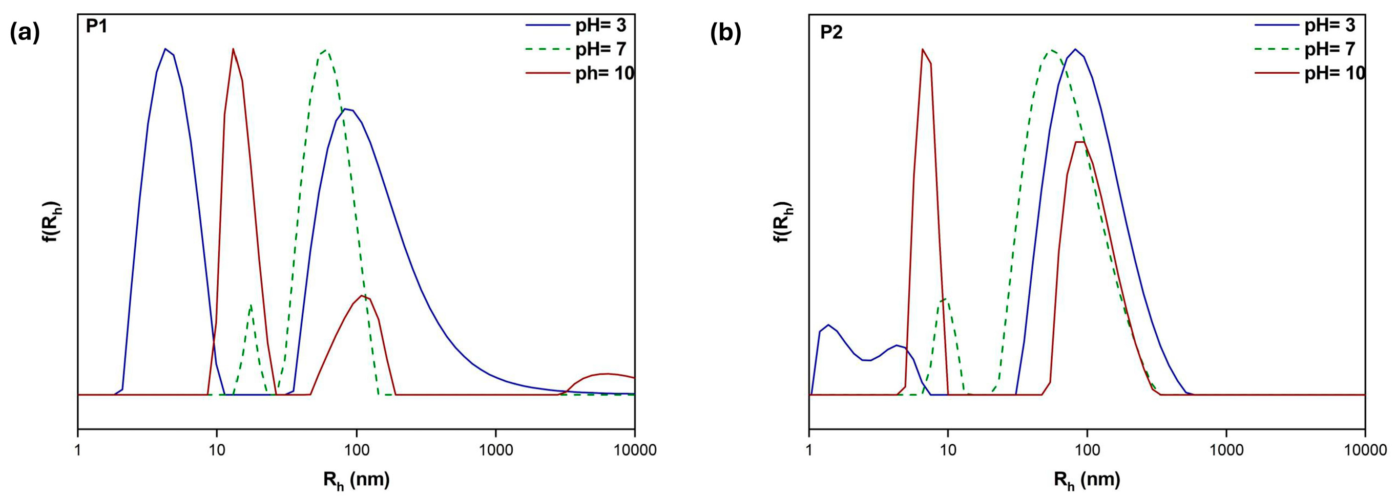 Polymers 17 00701 g005