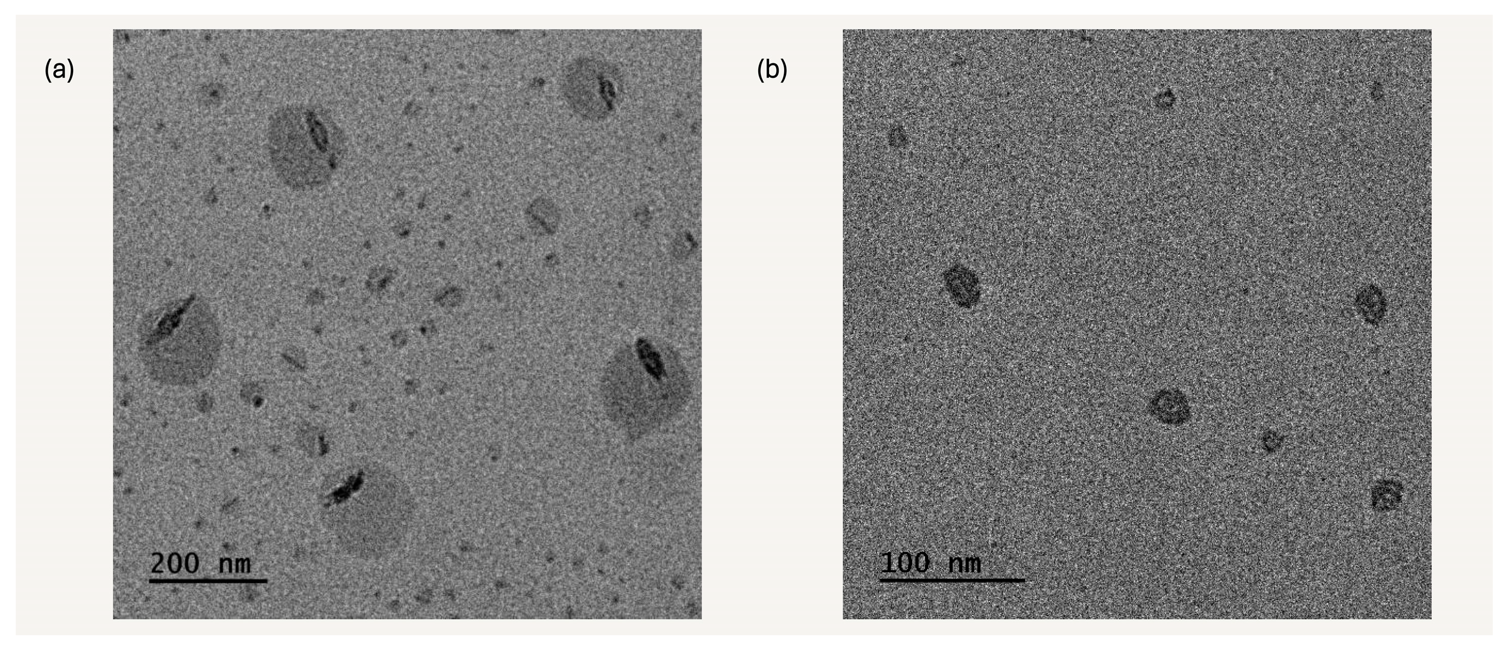 Polymers 17 00701 g011