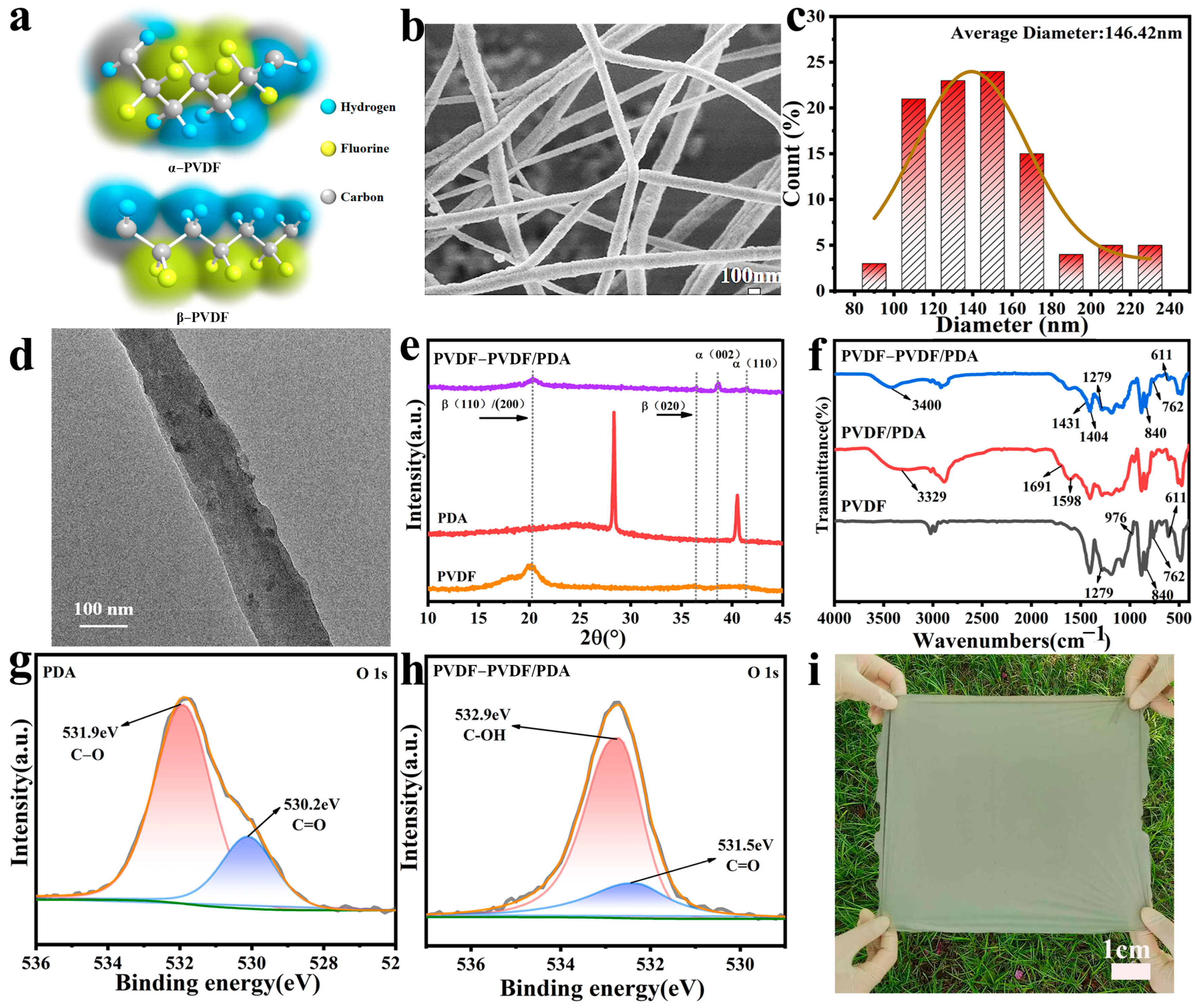 Polymers 17 00703 g001