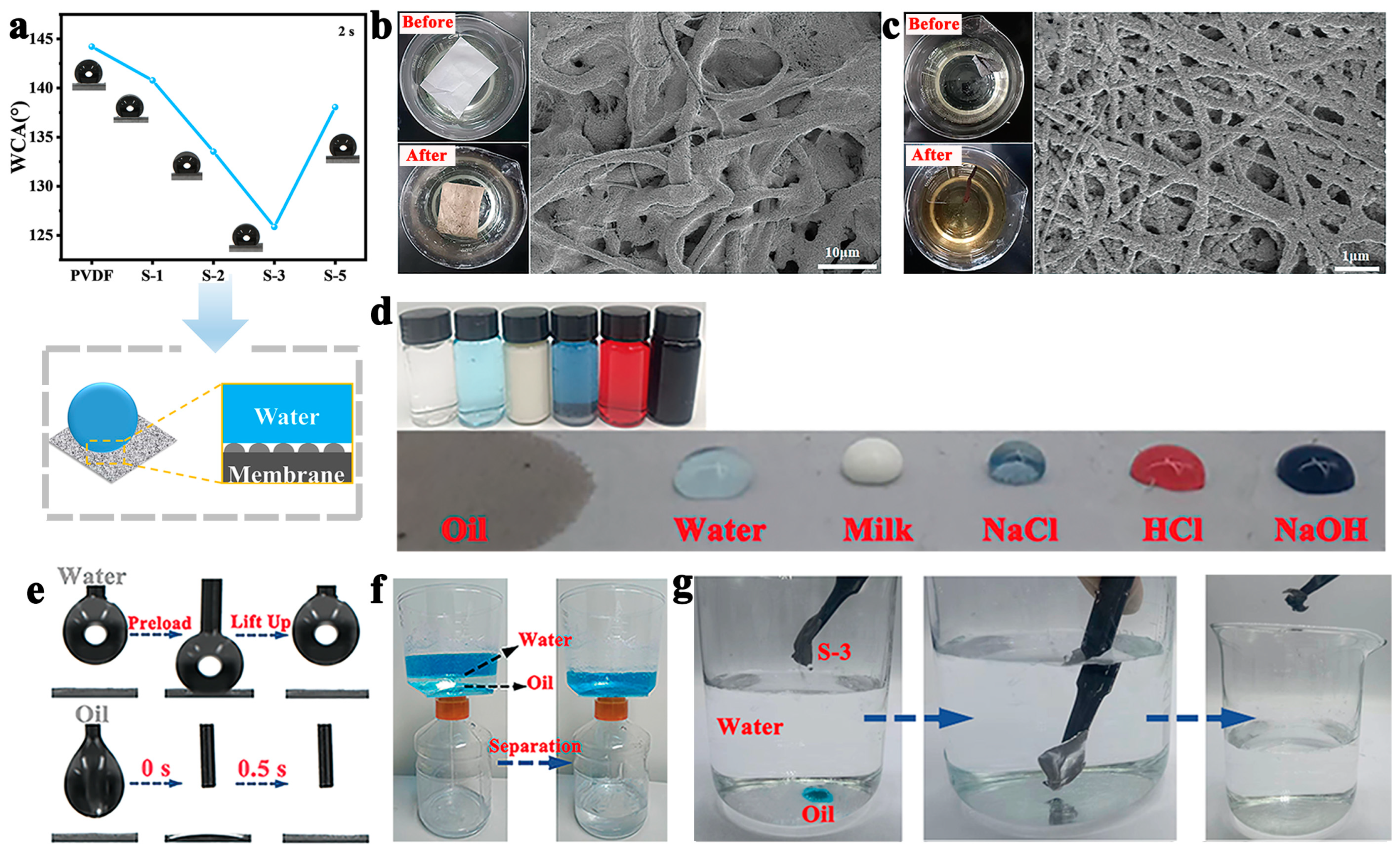 Polymers 17 00703 g004