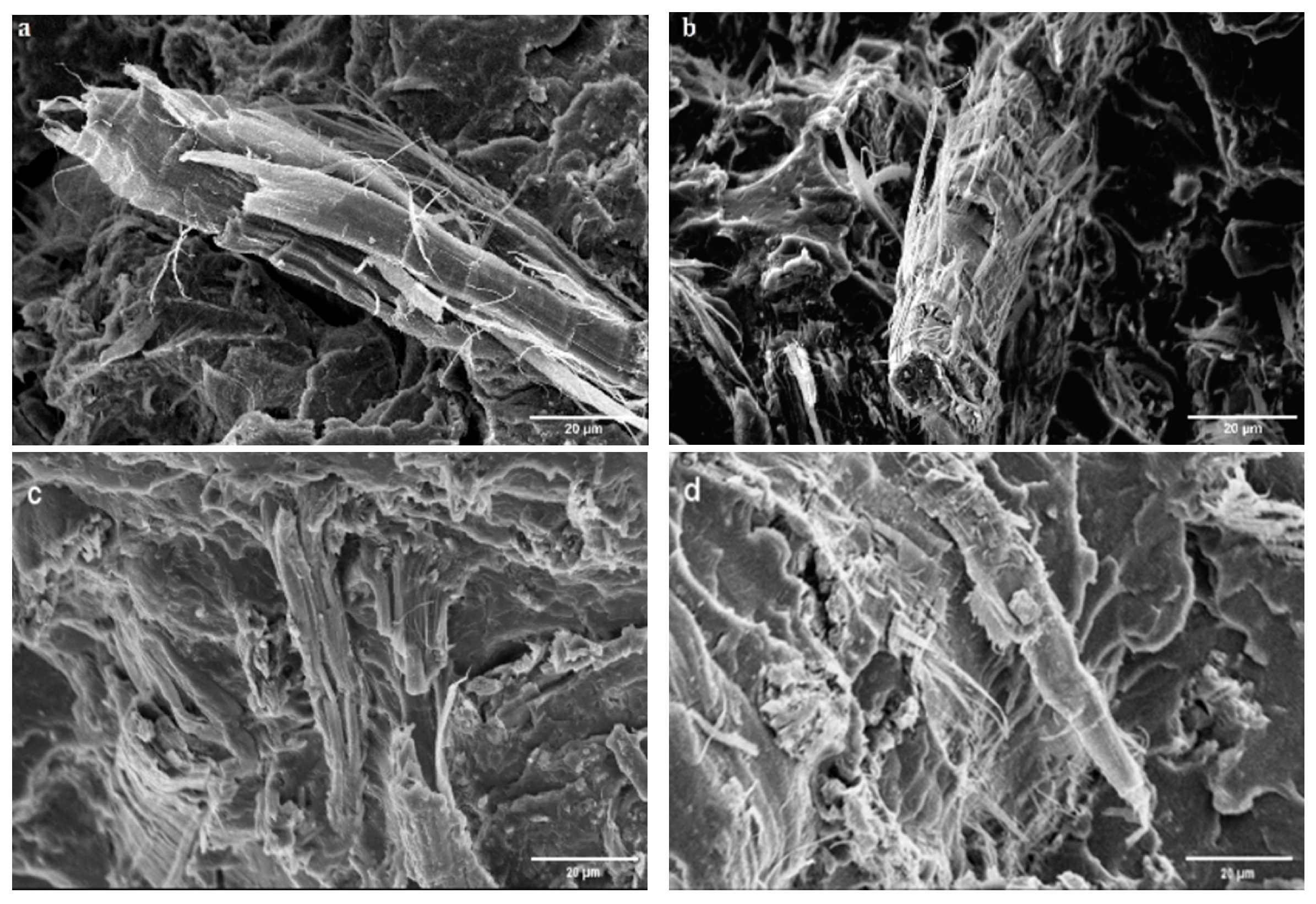 Polymers 17 00732 g003