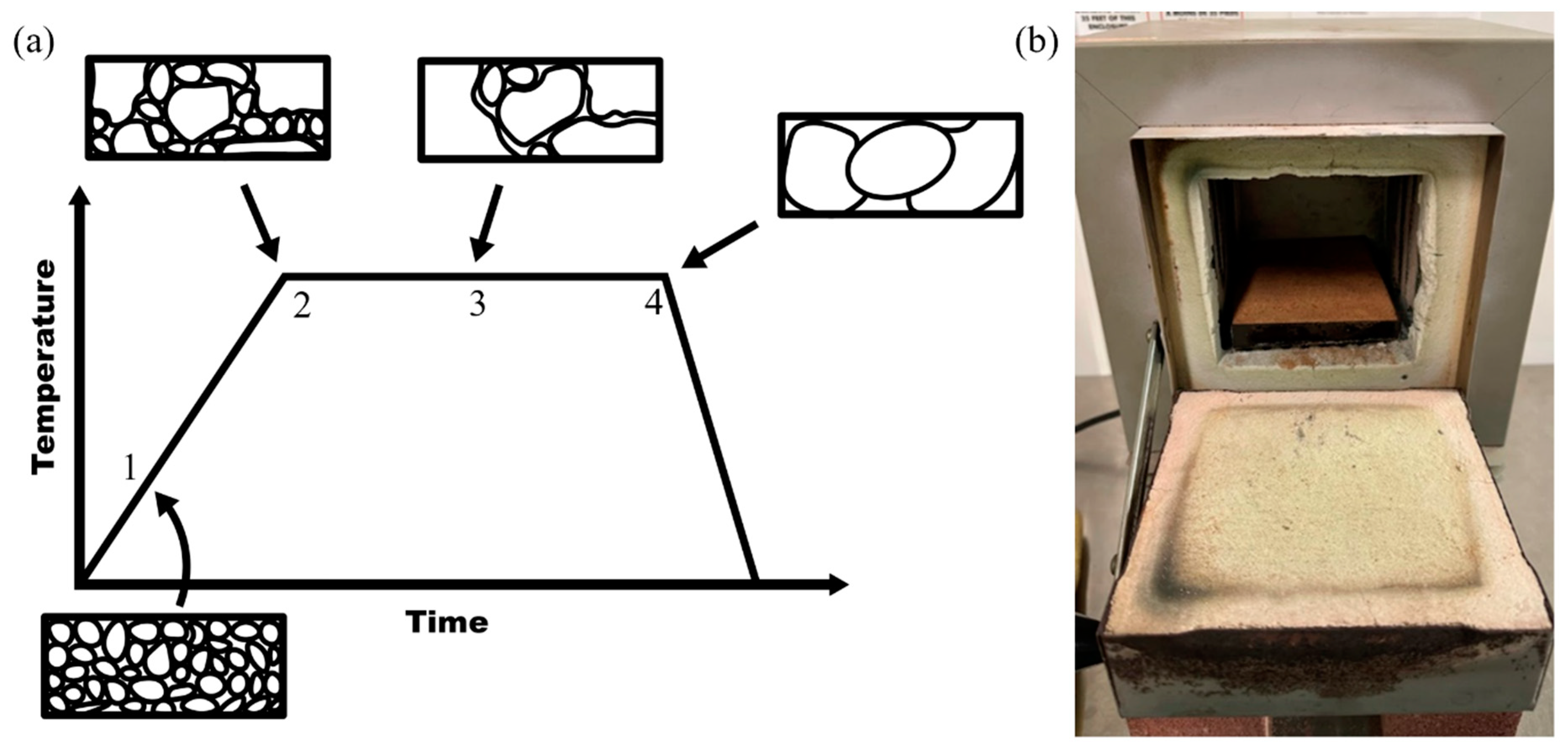 Polymers 17 00744 g004