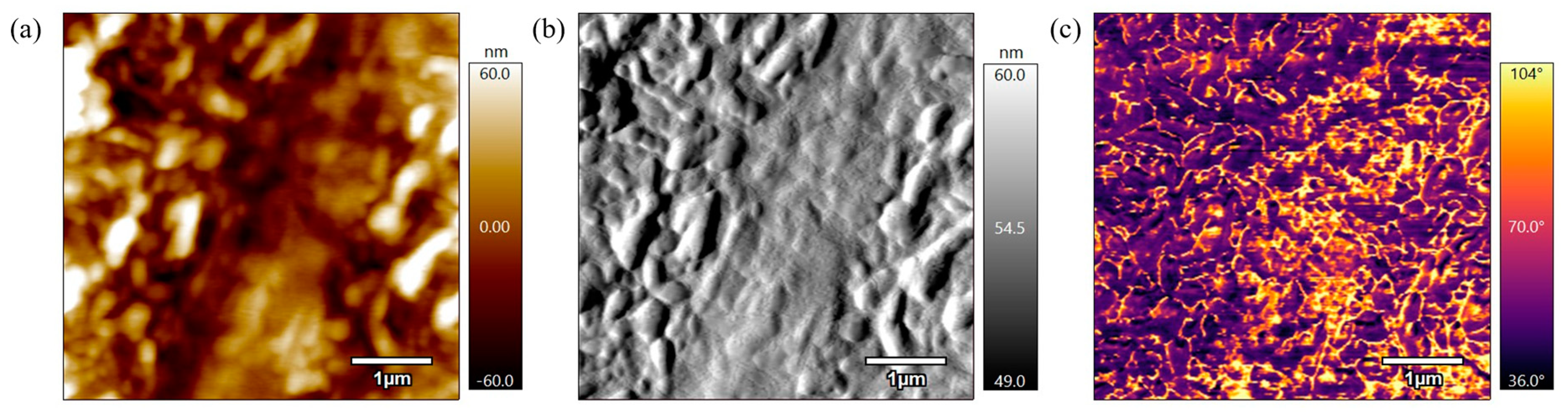 Polymers 17 00744 g013