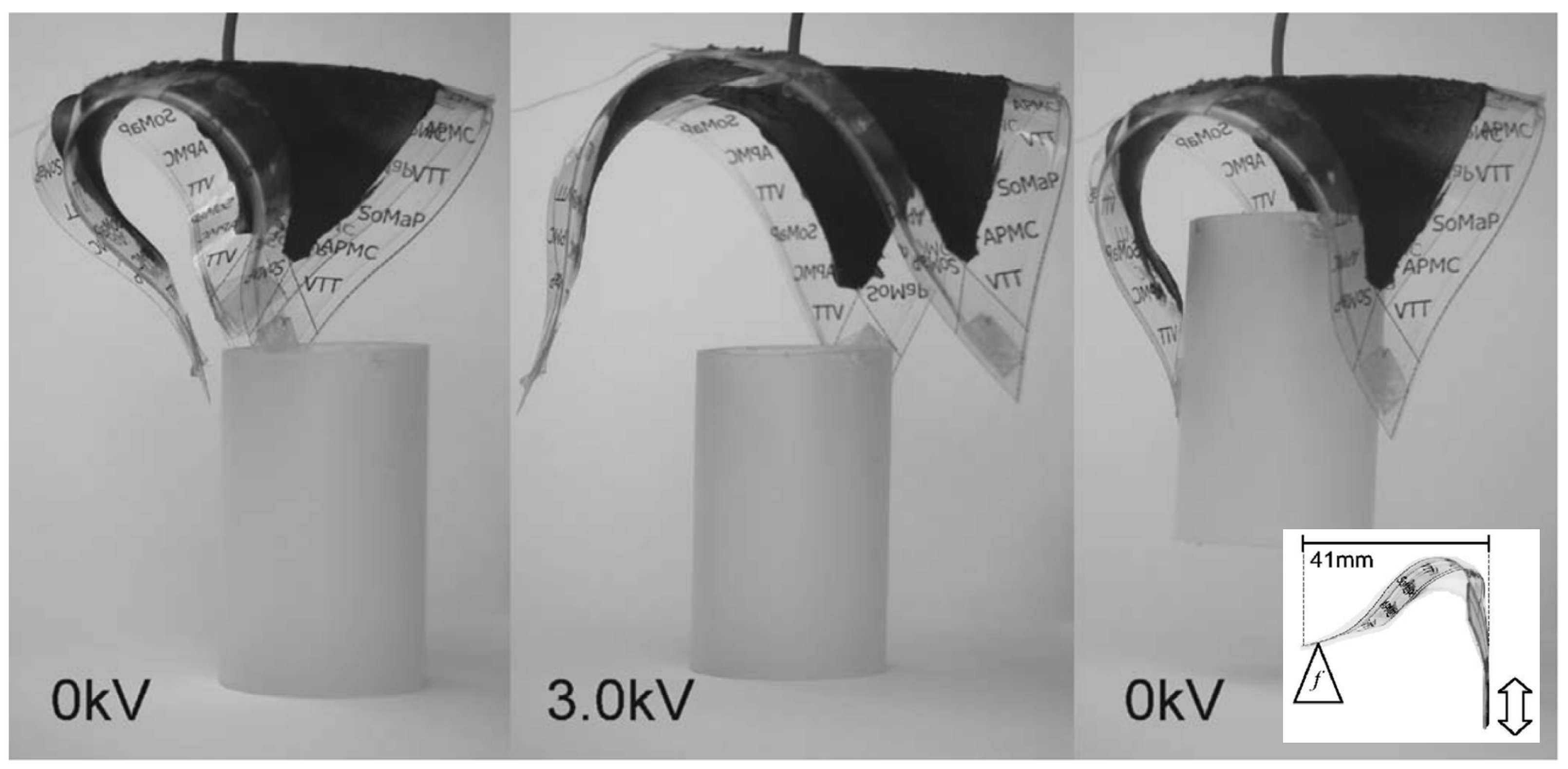 Polymers 17 00746 g003