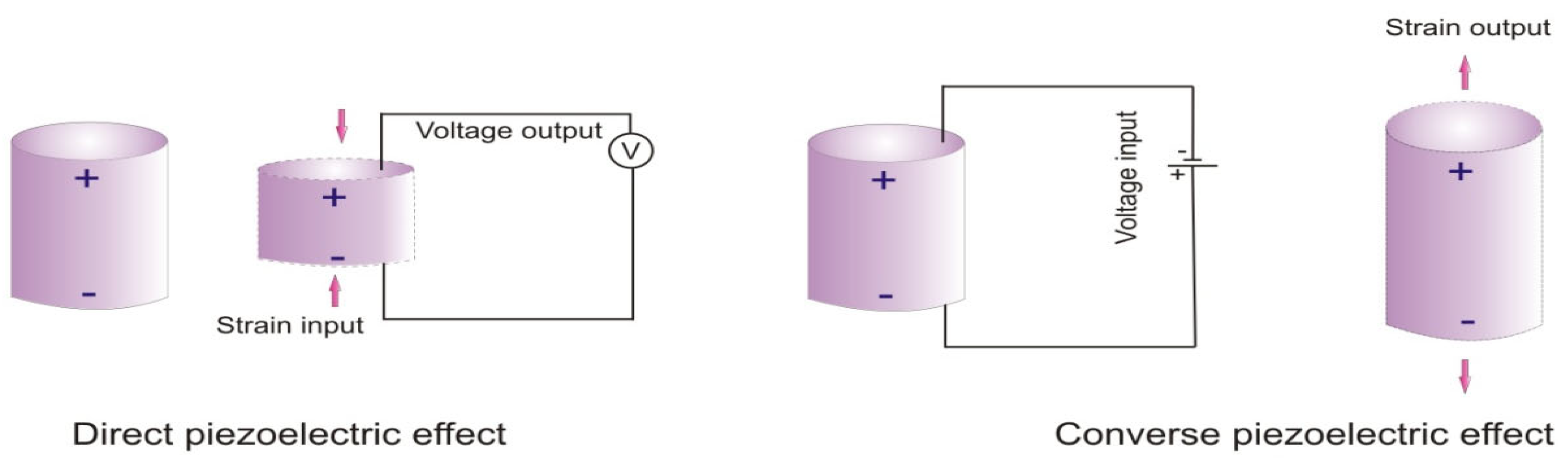 Polymers 17 00746 g011